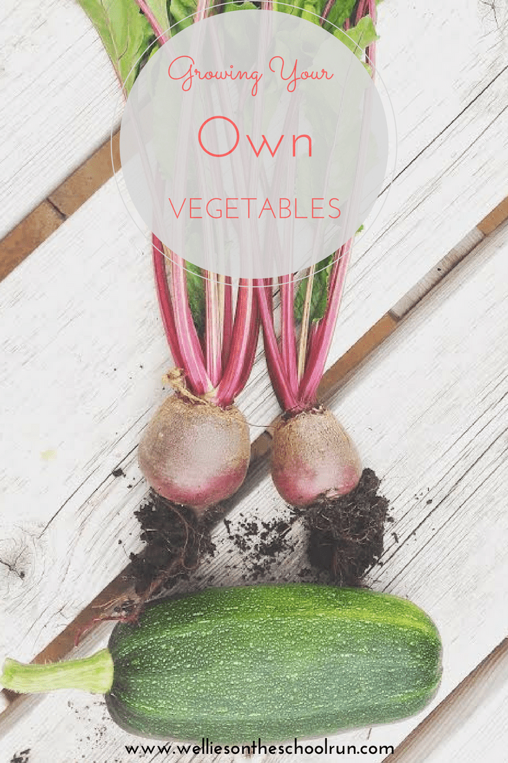 Grow Your Own Vegetables.png