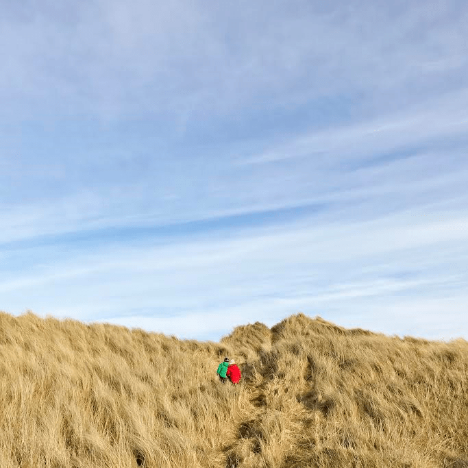 Kids in Sandunes.png