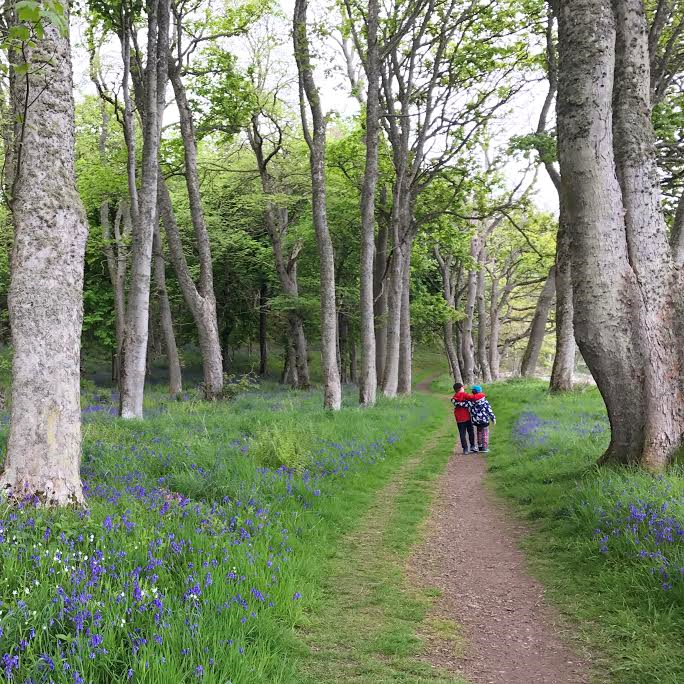 Boys in Bluebells