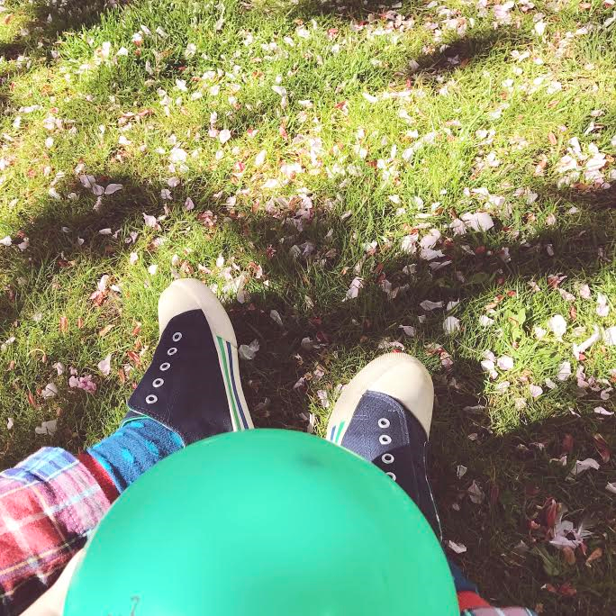 Fallen Cherry Blossom