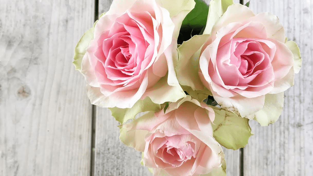 Saying No to Perfect