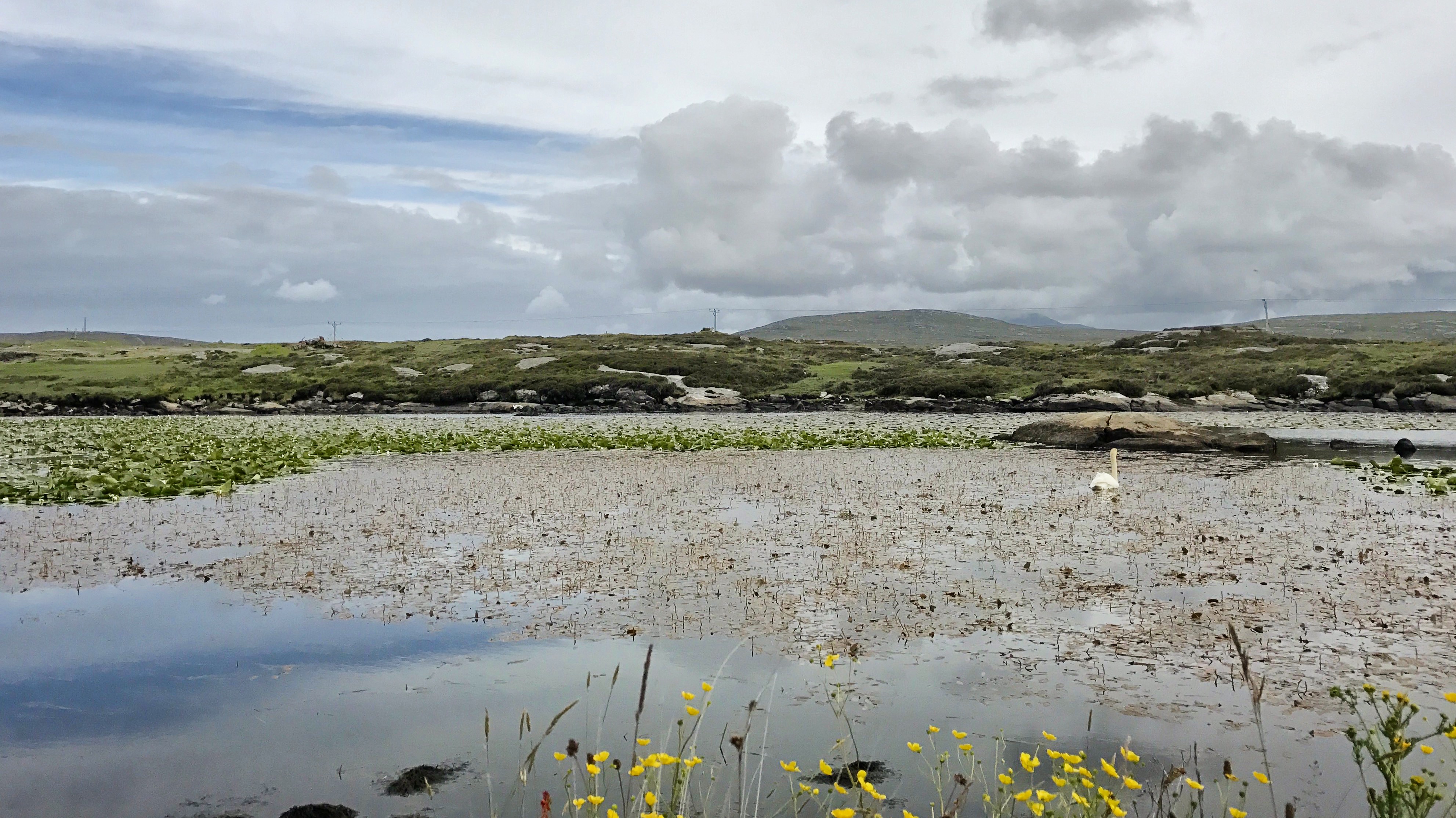 Lily Pond North Uist