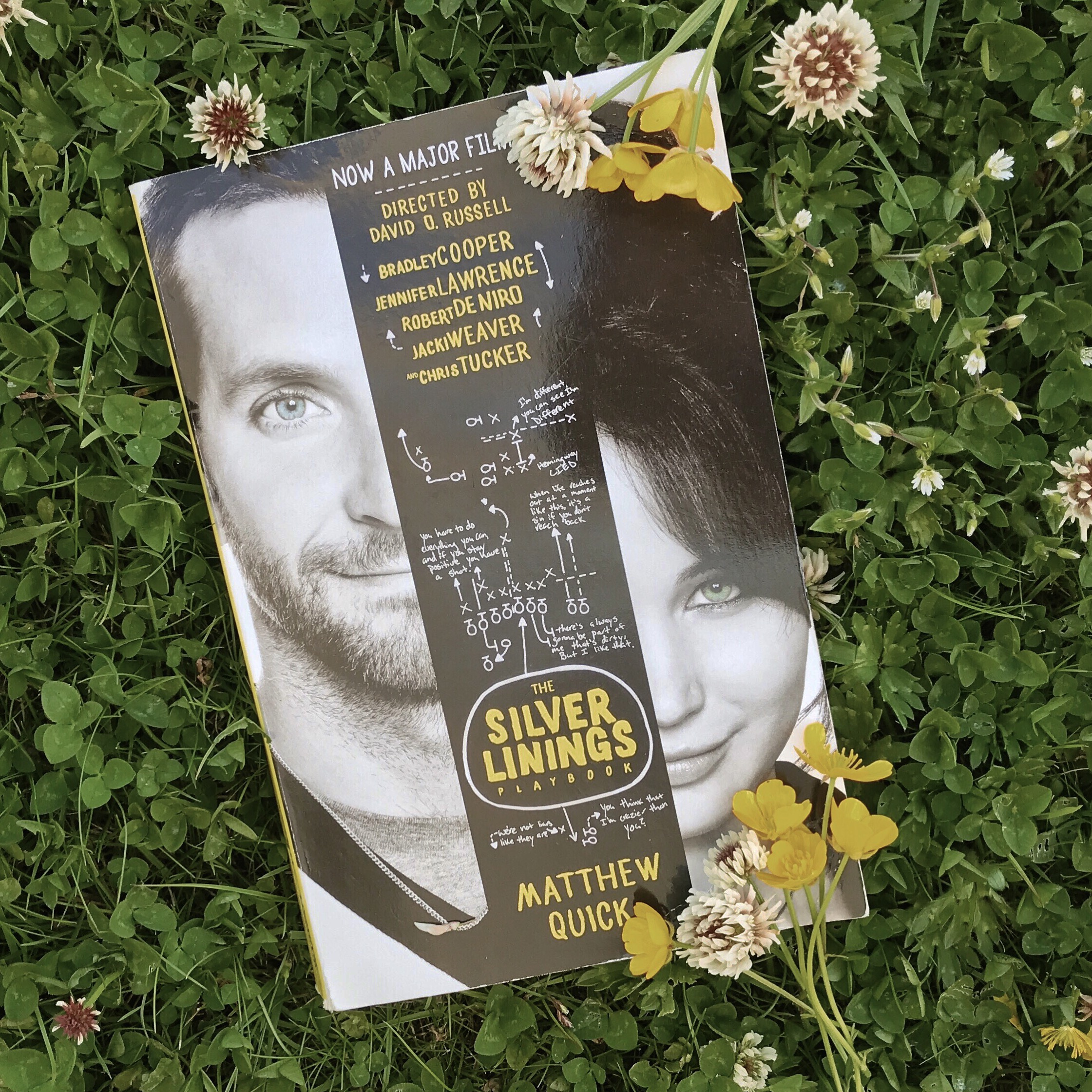 Silver Linings Playbook.JPG