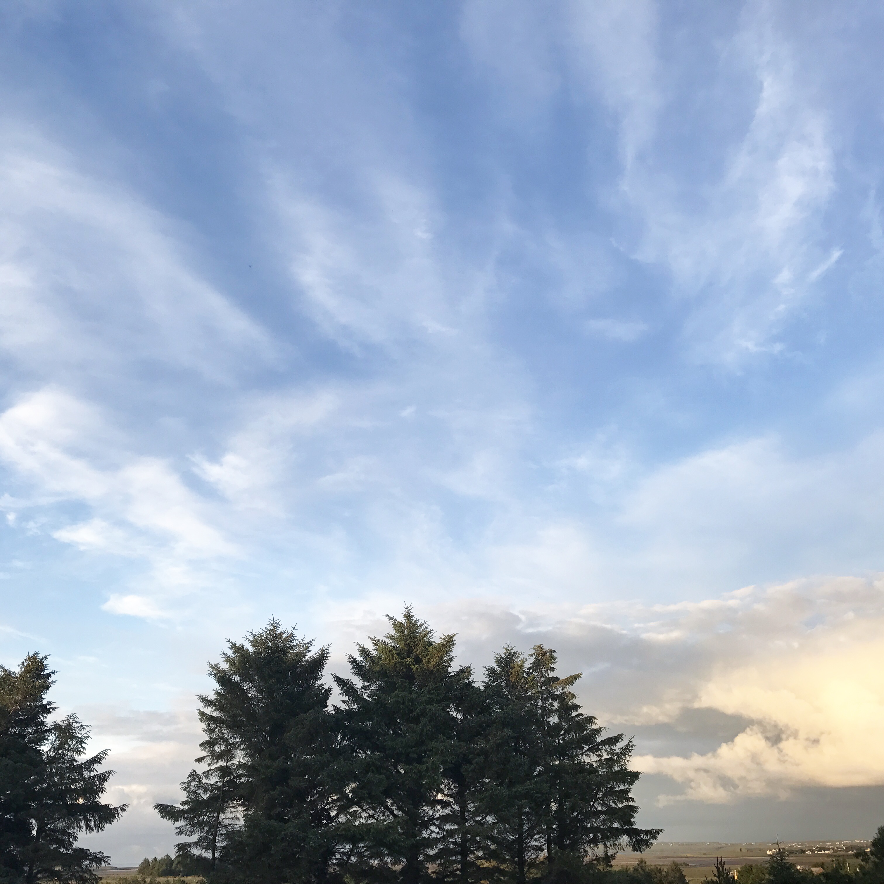 Stornoway Nights.JPG