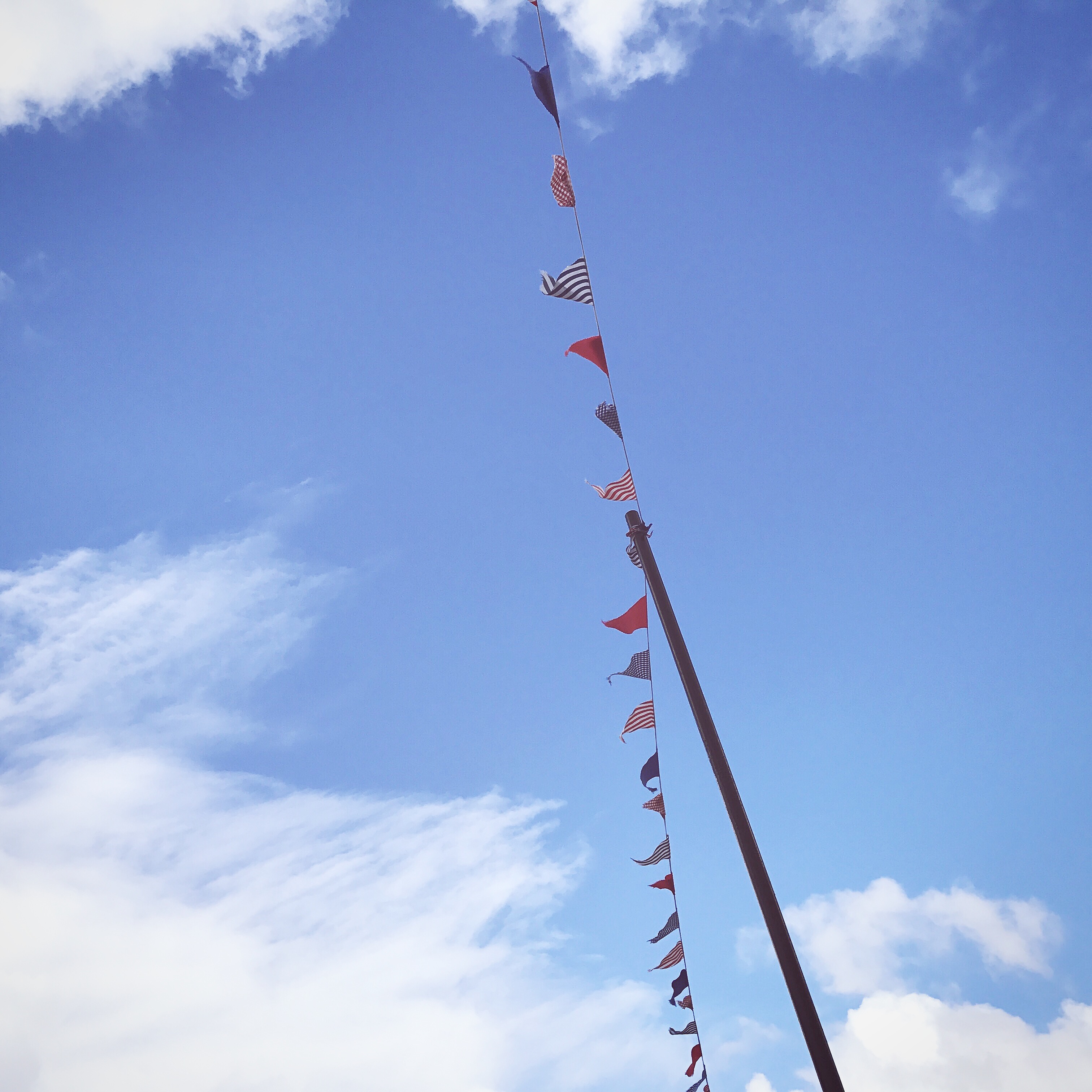 Bunting Ullapool.JPG