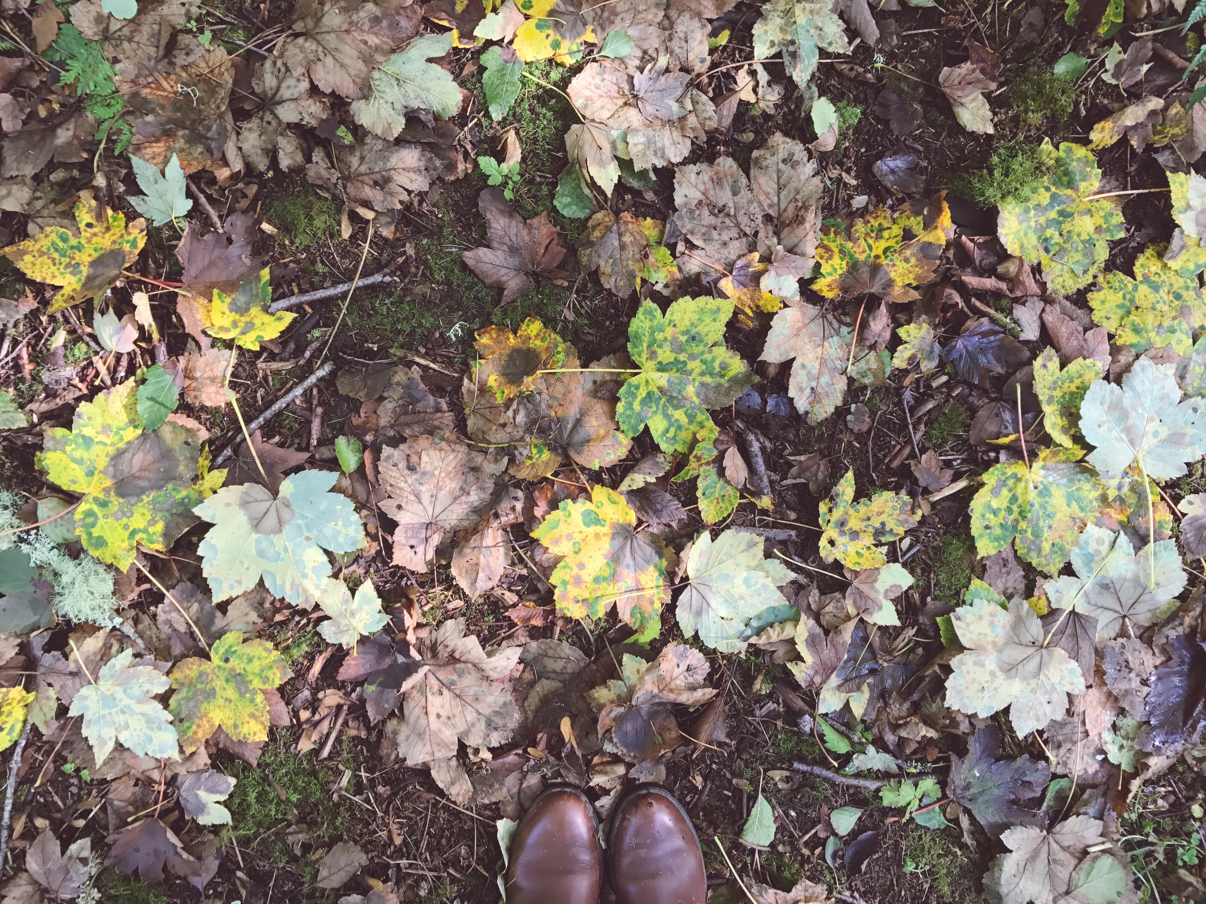 Processed with VSCO with s1 preset