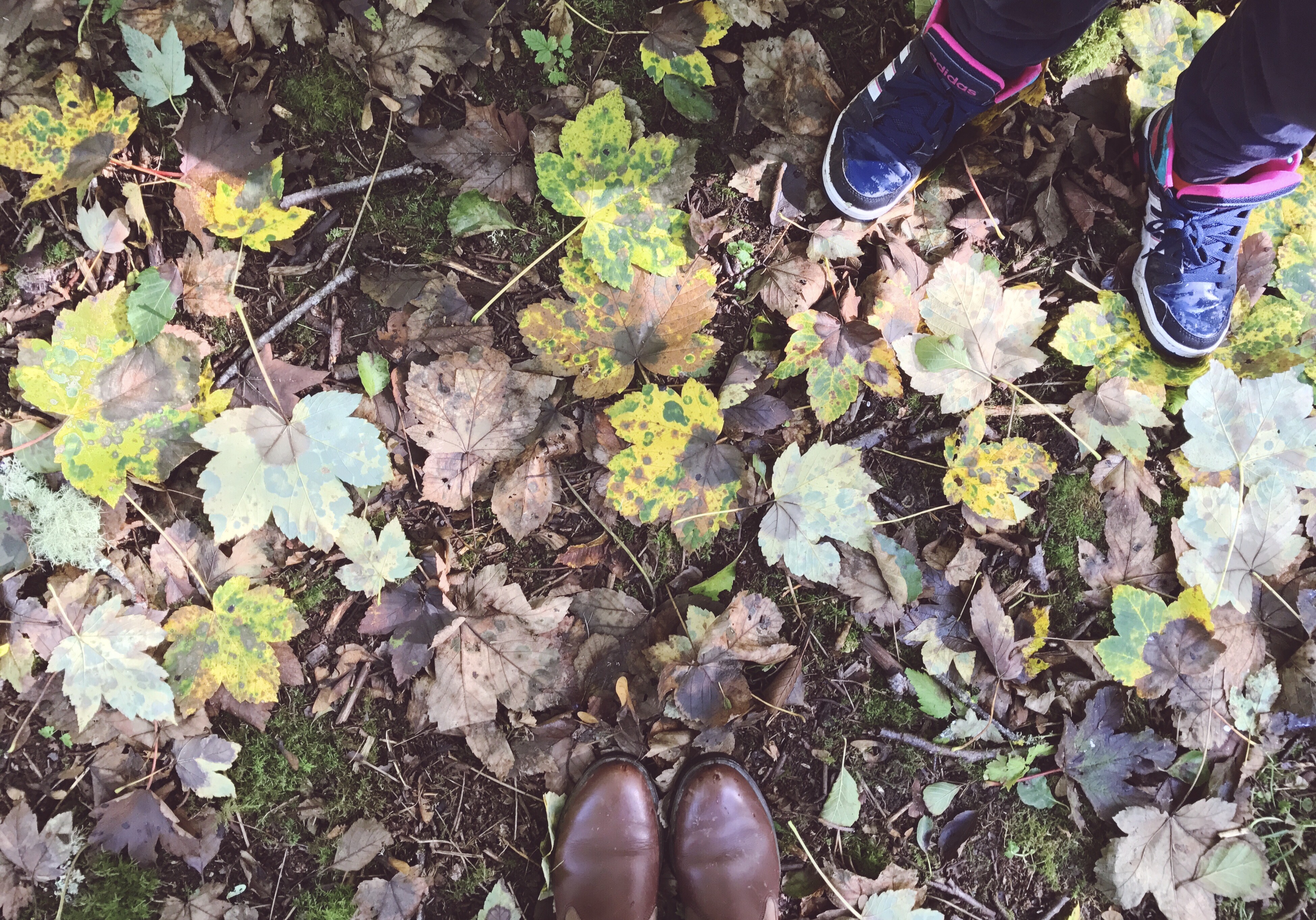 Autumn Feet.JPG