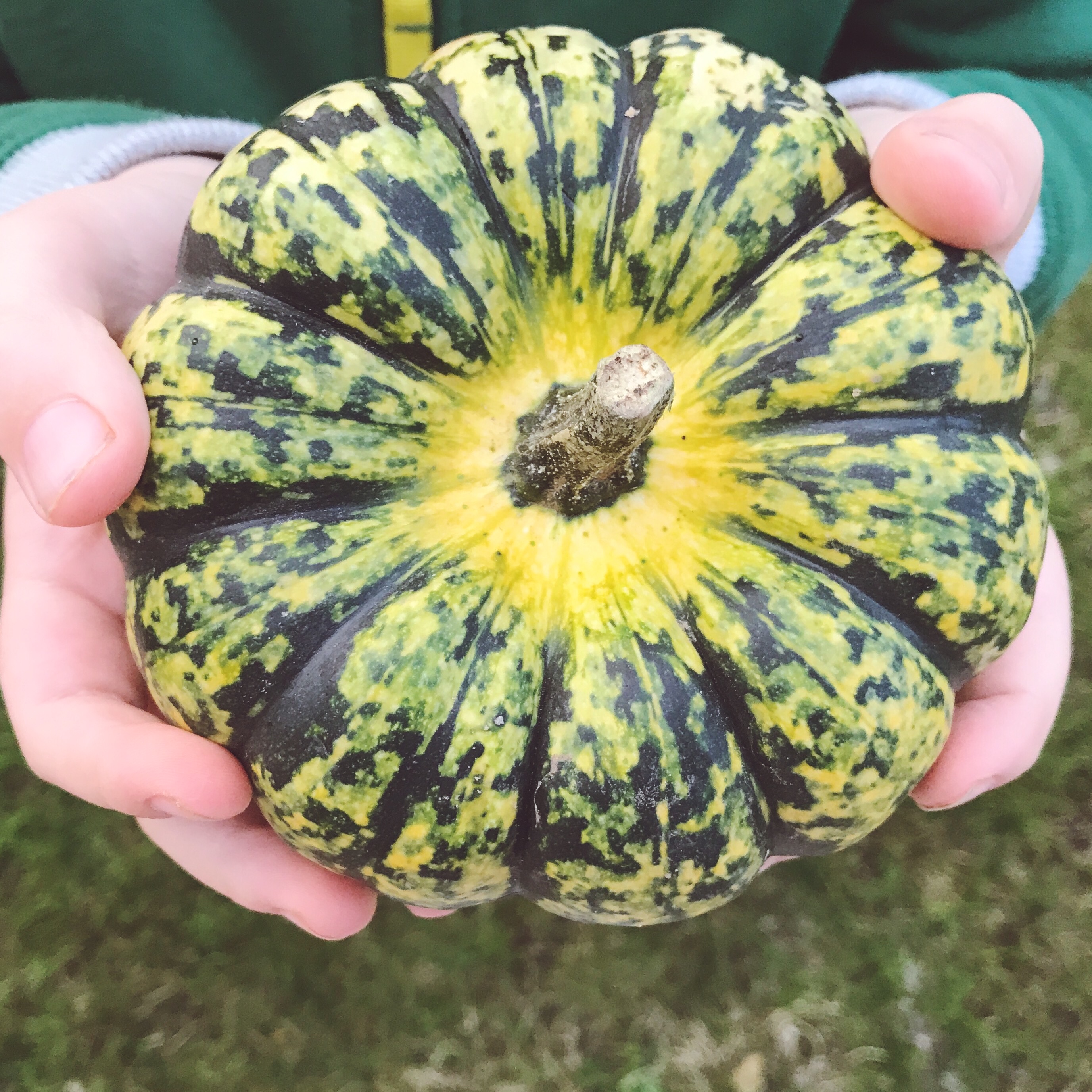 Processed with VSCO with s1 preset