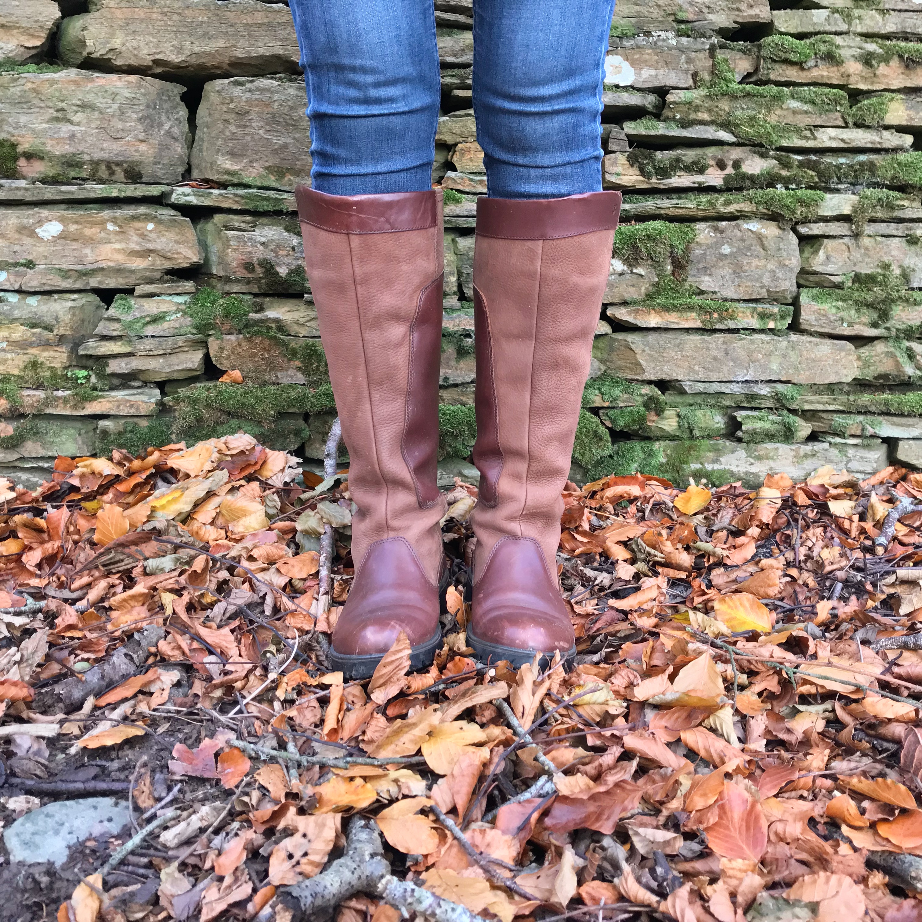 Dubarry Boots.JPG