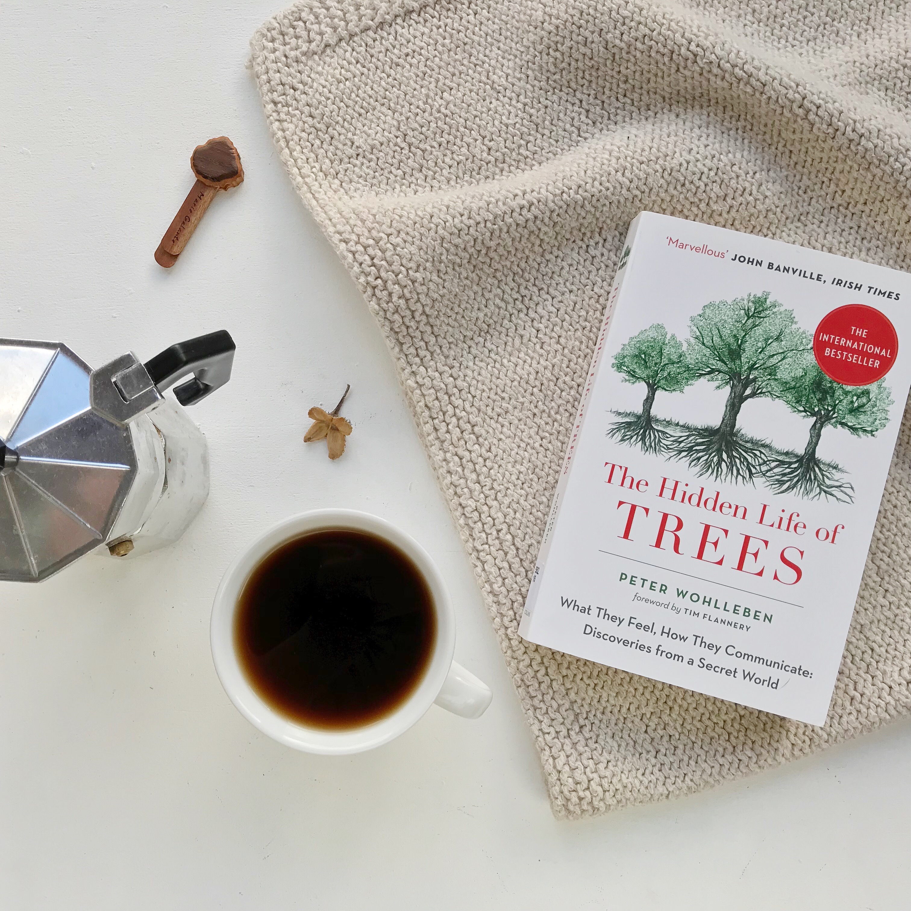 The Hidden Lives of Trees.JPG