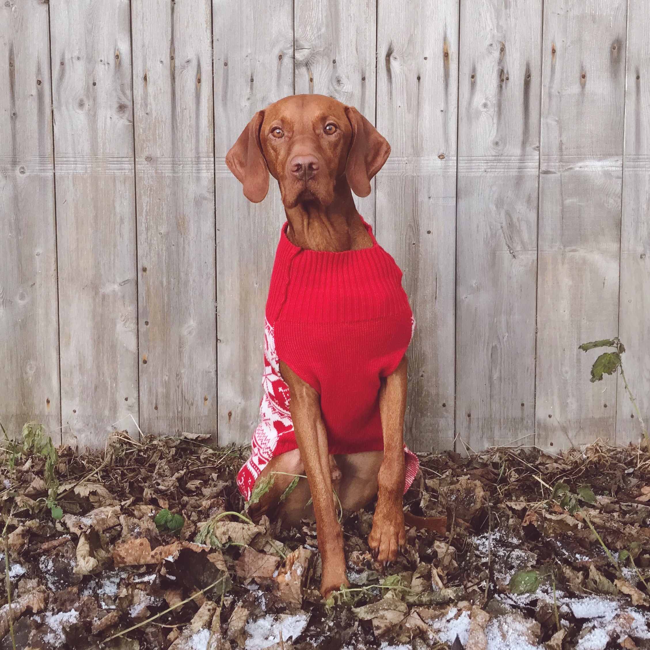 Processed with VSCO with s1 preset