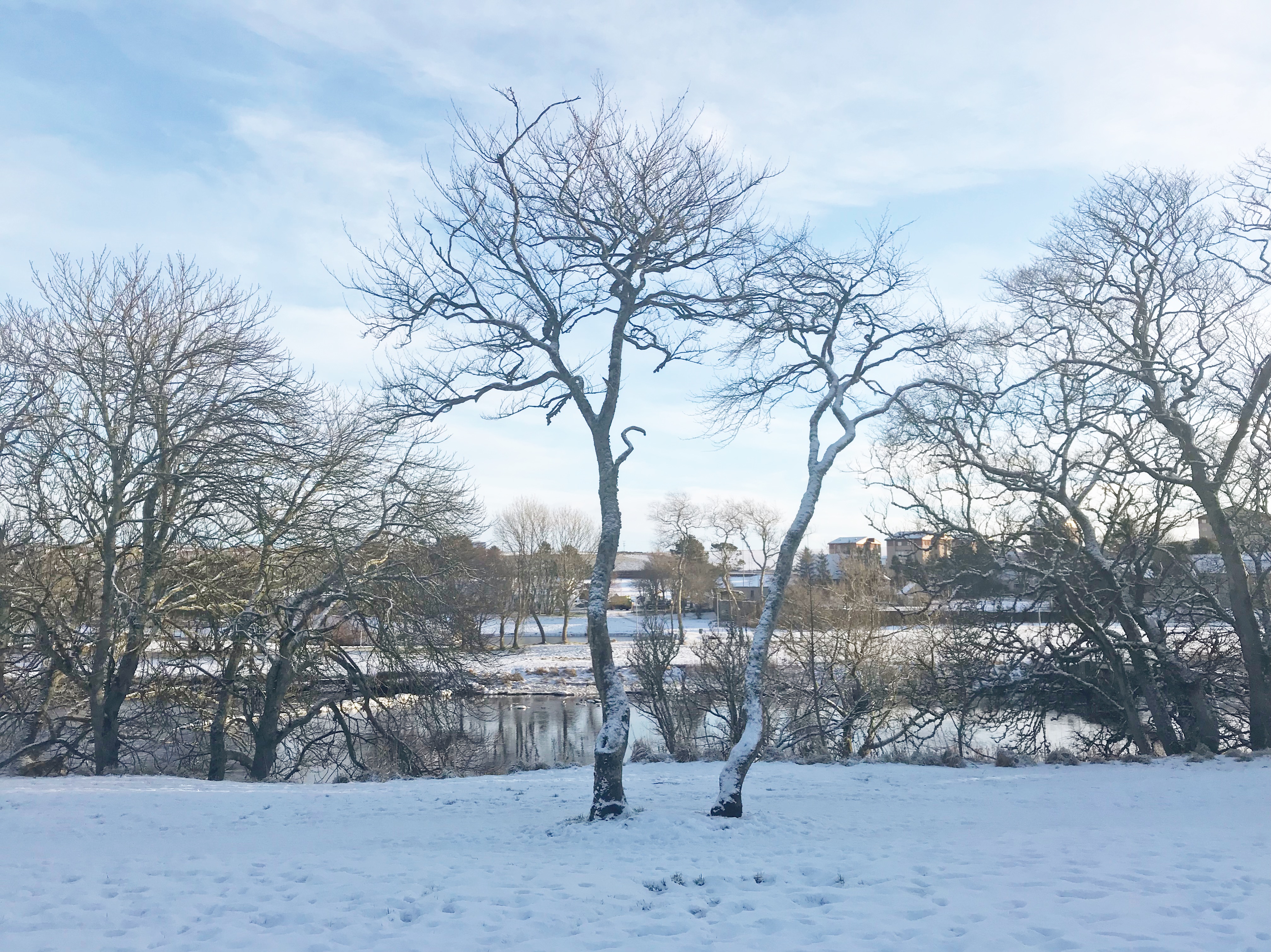 Snowy Scenes Caithness