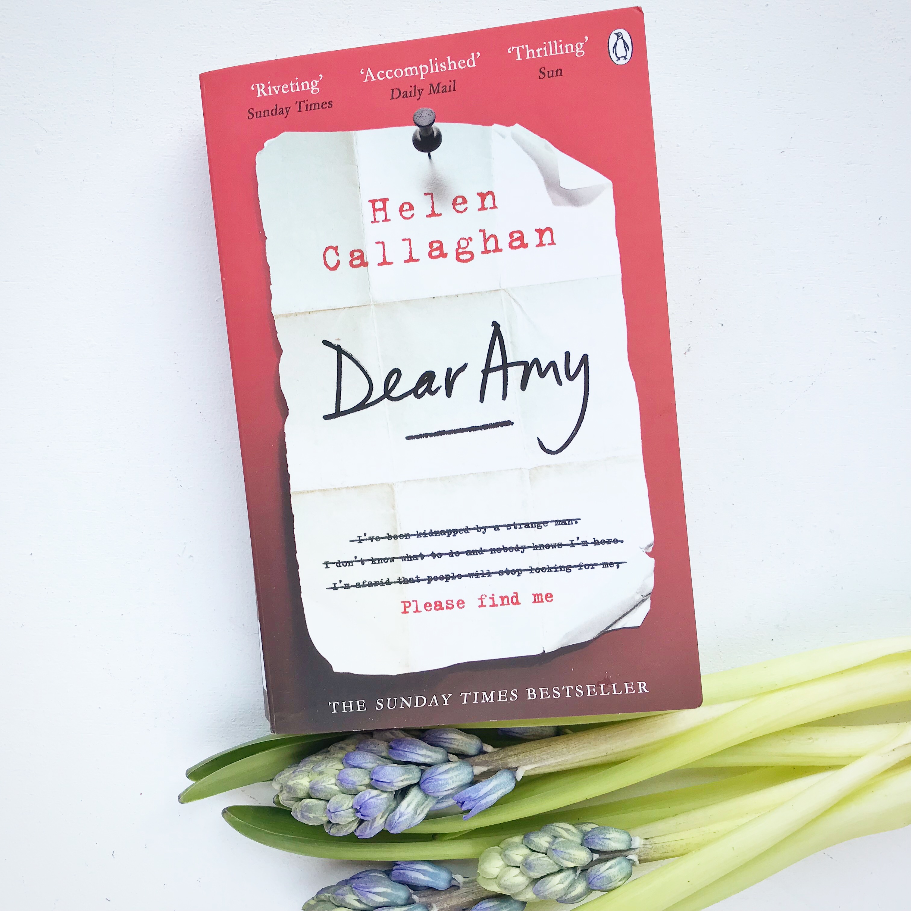 Dear Amy book
