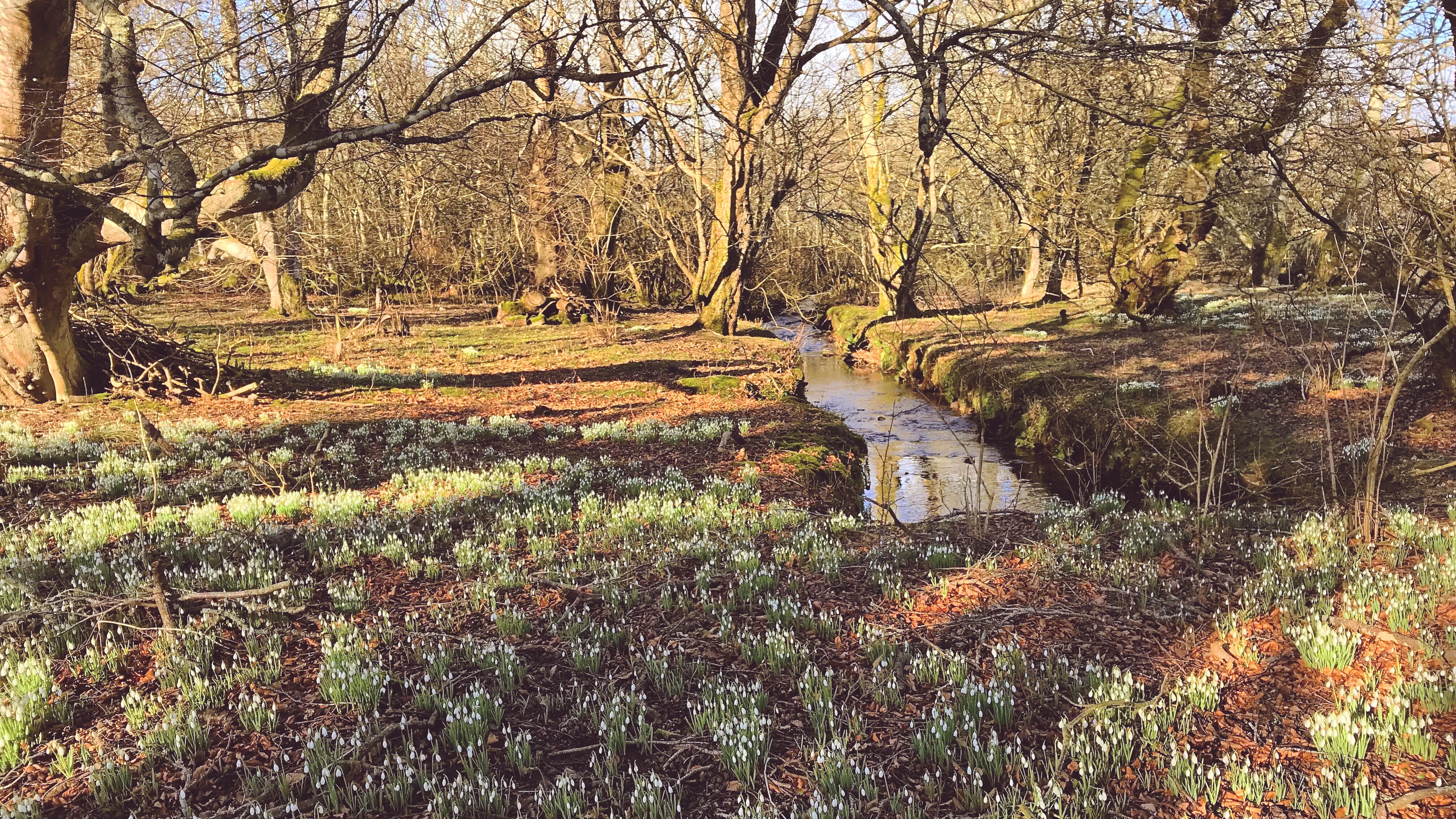 Processed with VSCO with s1 preset