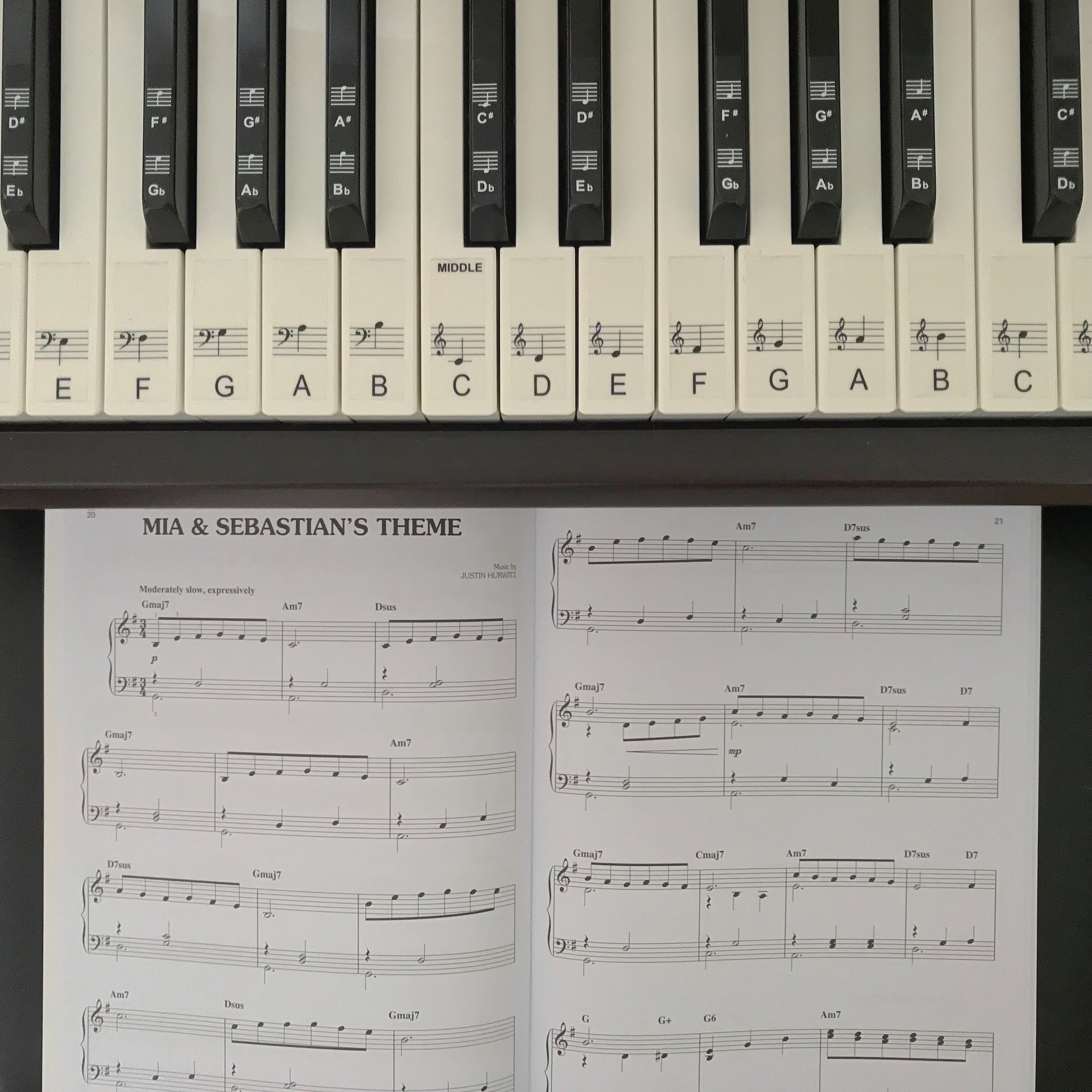 Mia and Seb's Theme La La Land