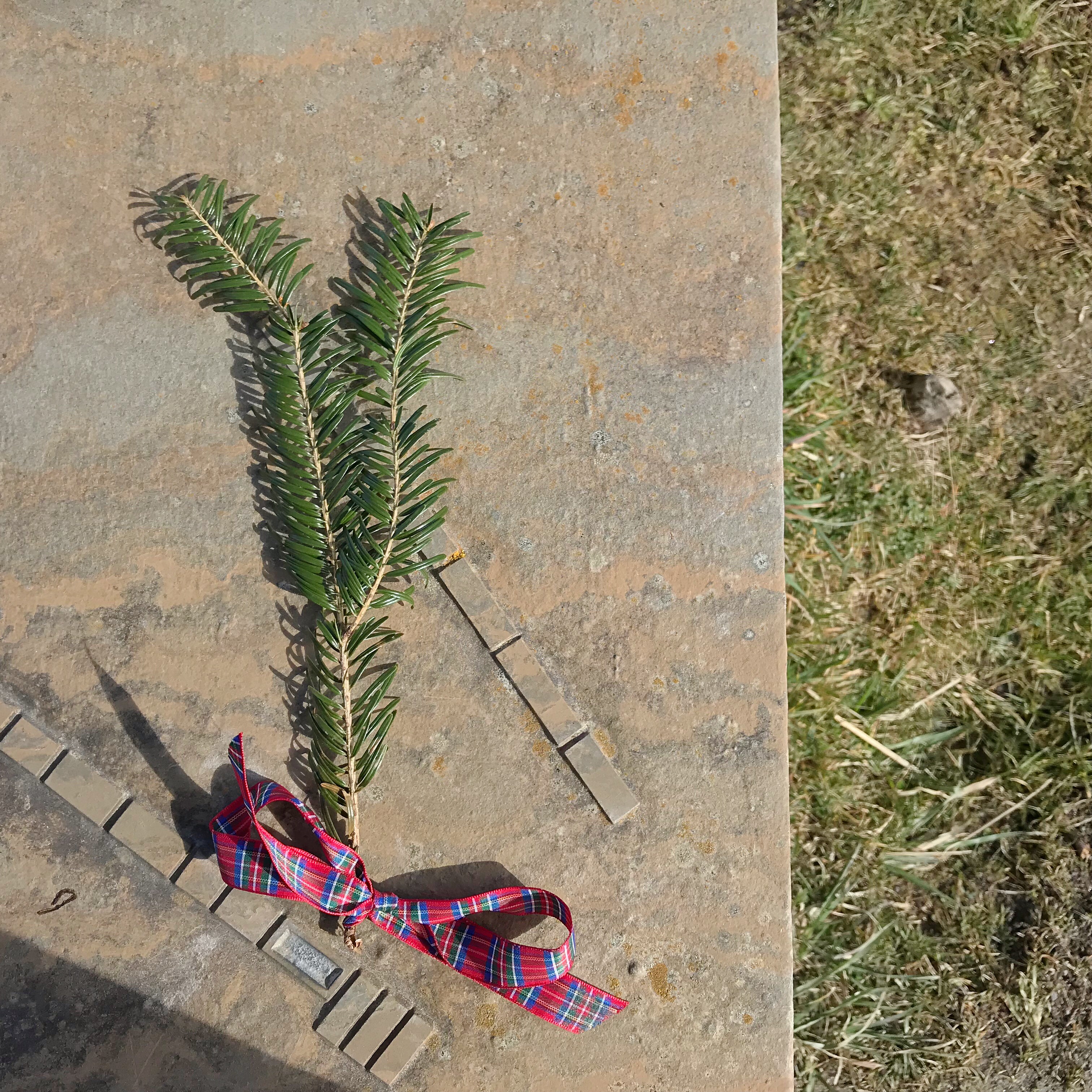 Culloden Battlefield