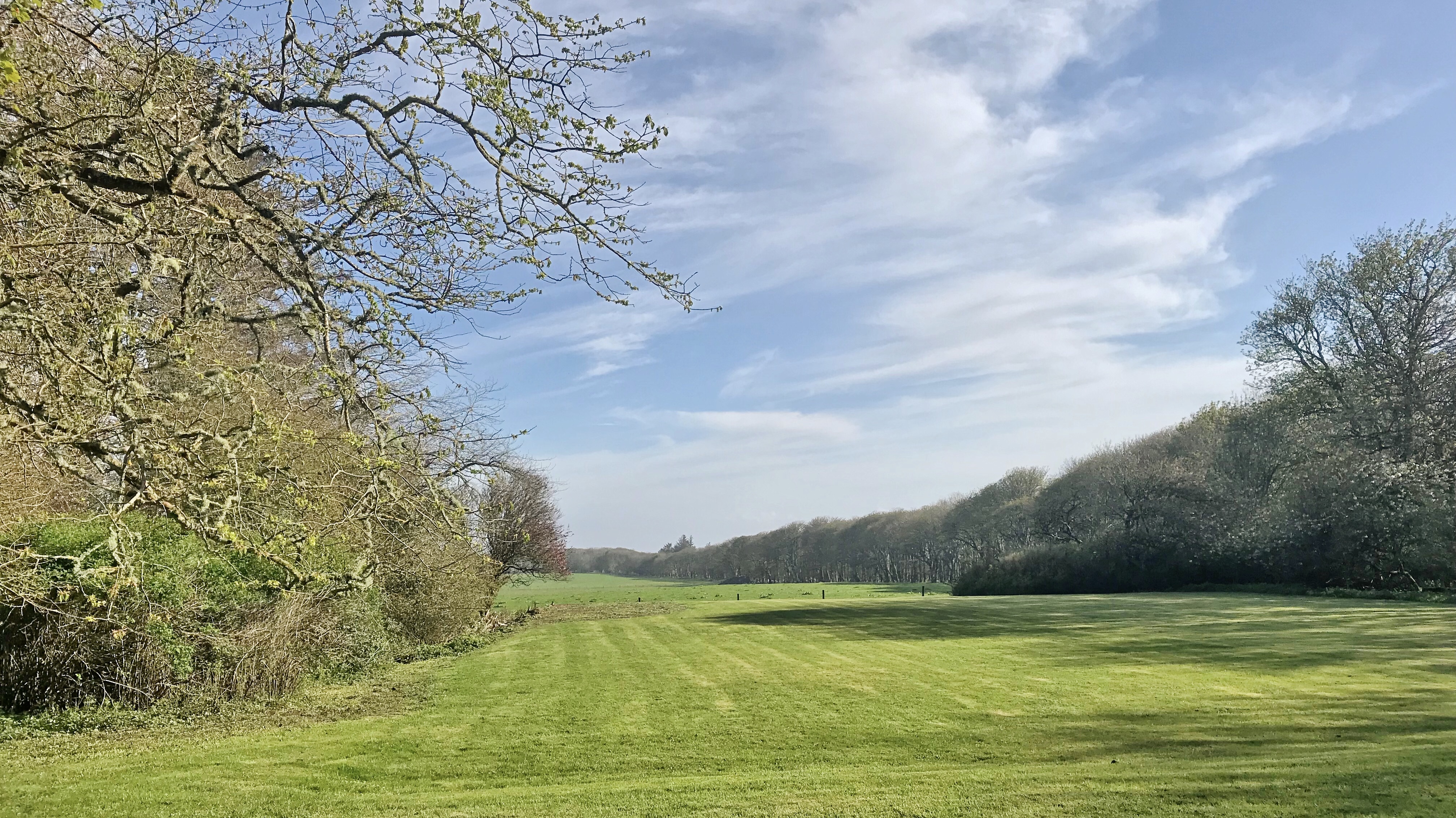 Forse of Nature Grounds 2