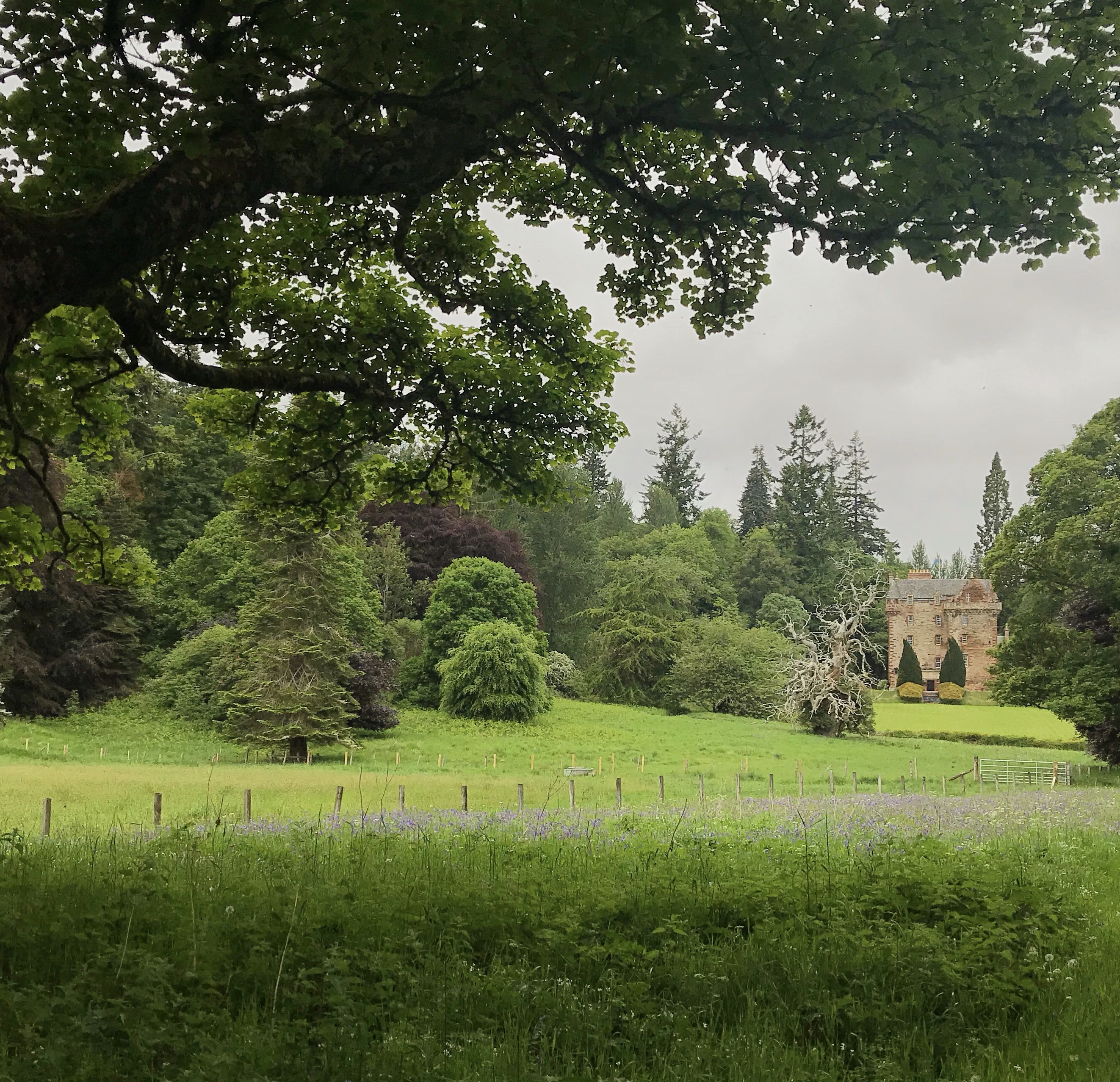 Castle Leod Strathpeffer.jpg