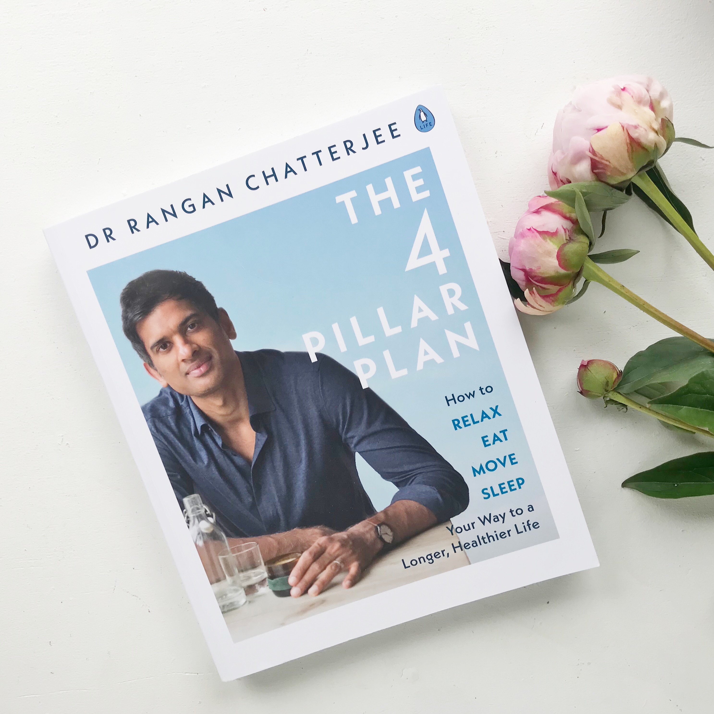 The Four Pillar Plan Book.JPG