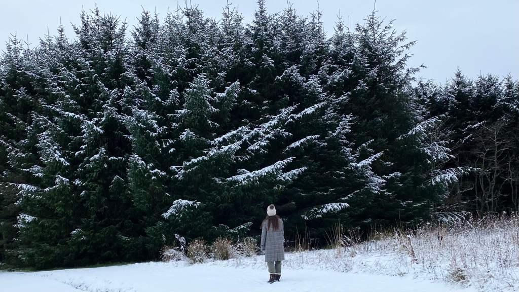 Gail in snow and trees, Caithness winter 2021