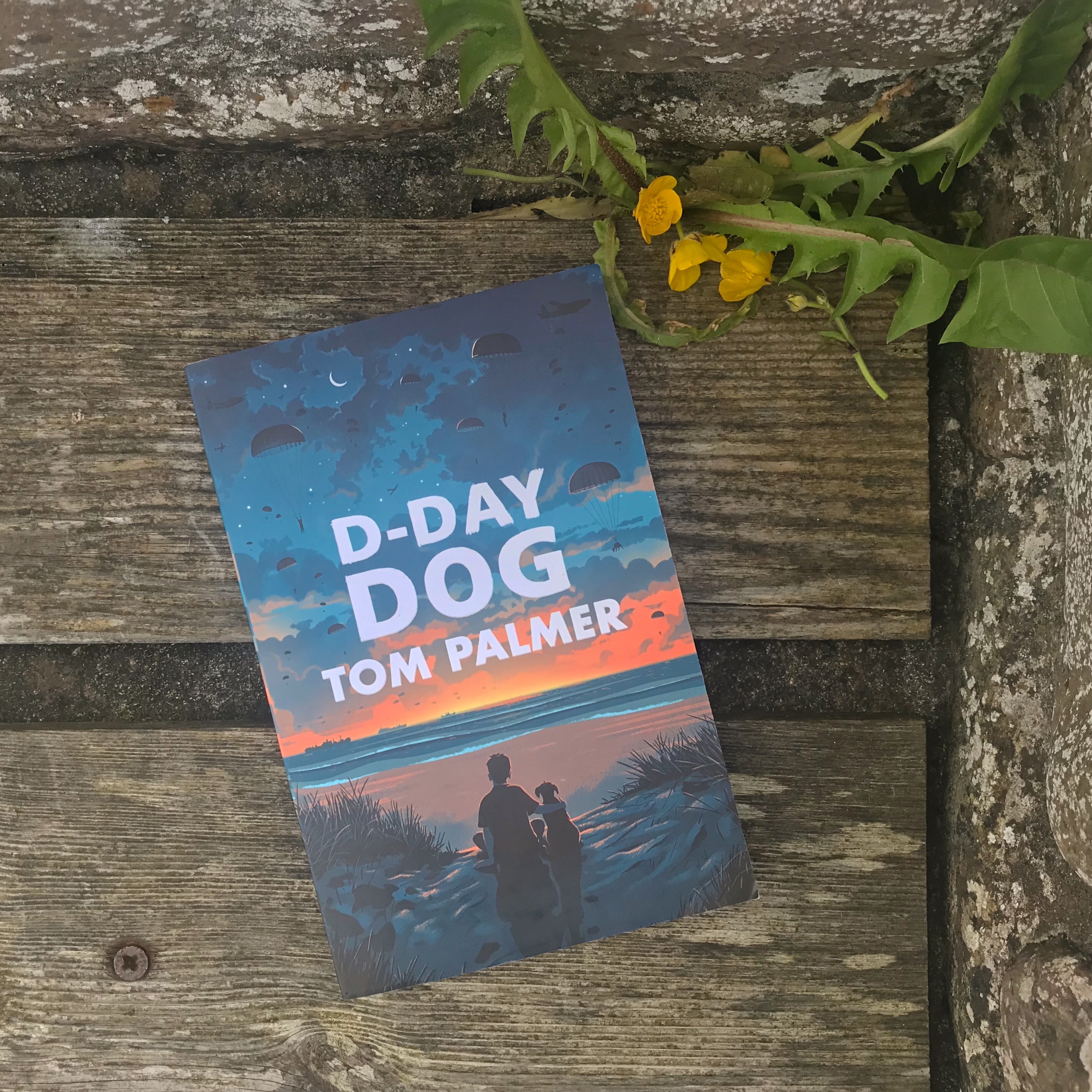 Picture of 'D-Day Dog' book by Tom Palmer