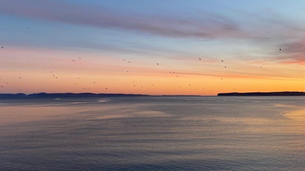 Pink and orange sunrise with birds flying over the sea, Caithness