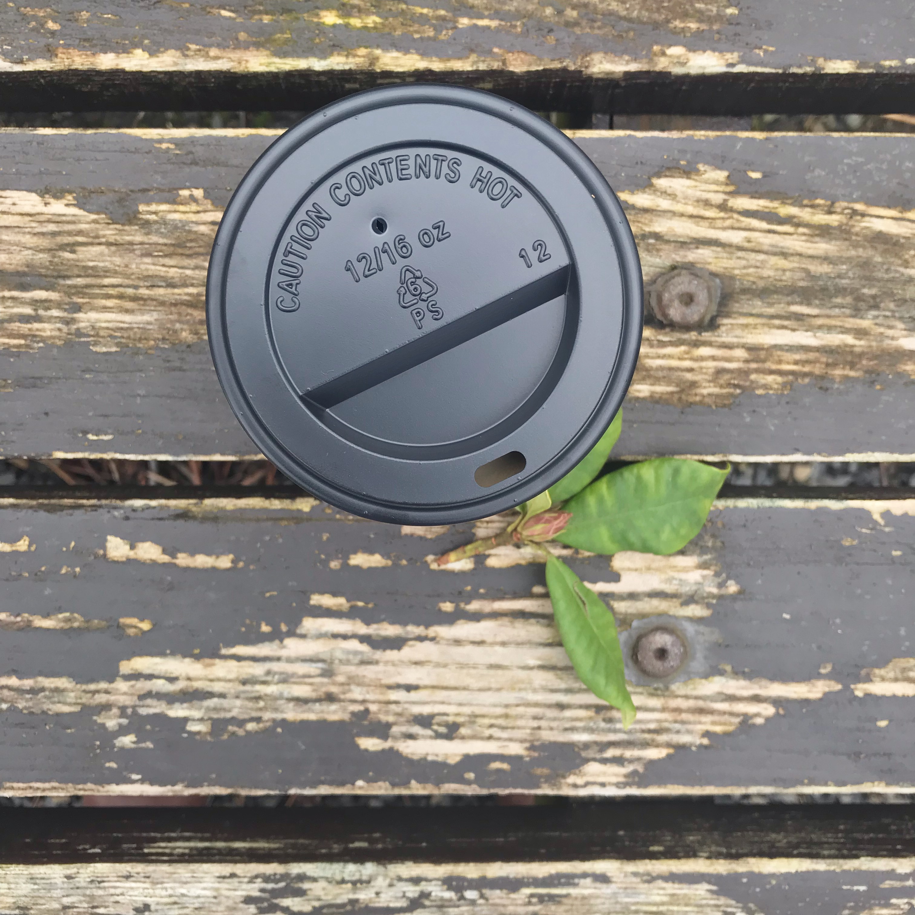 Coffee on bench