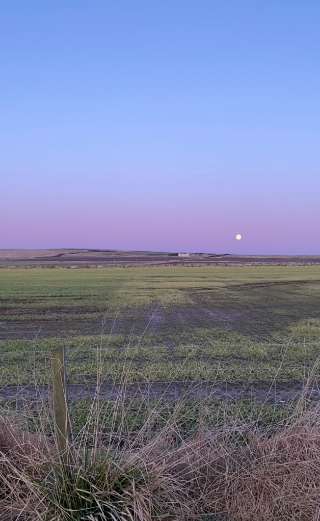 March Moon and Sunrise