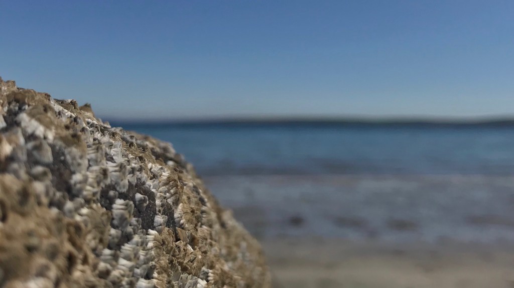 View to sea from rock