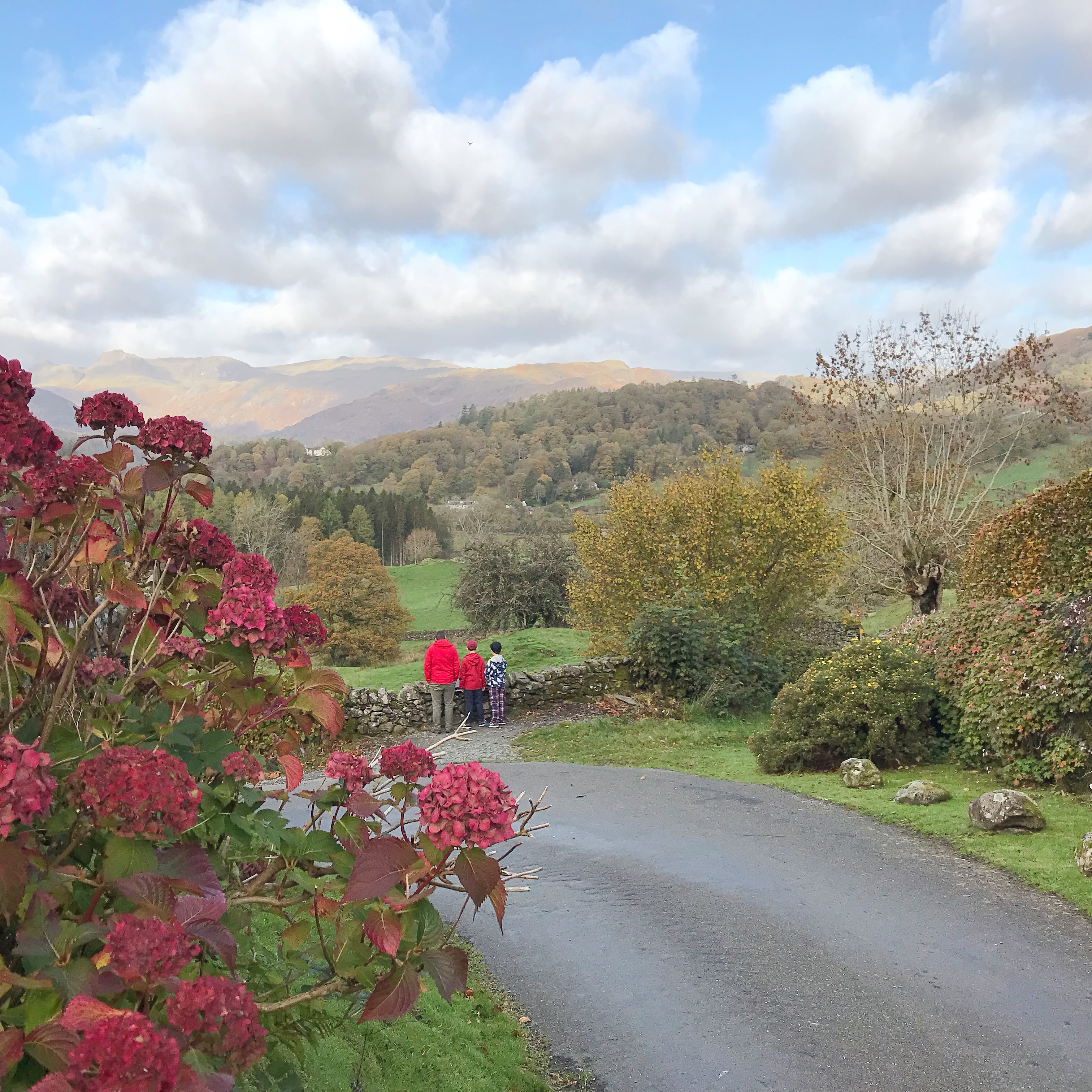 Viewpoint in Skelwith Fold, Lake District