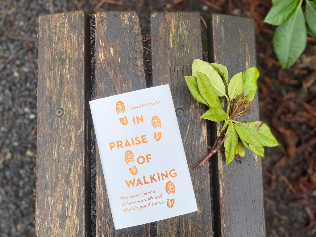 In Praise of Walking book