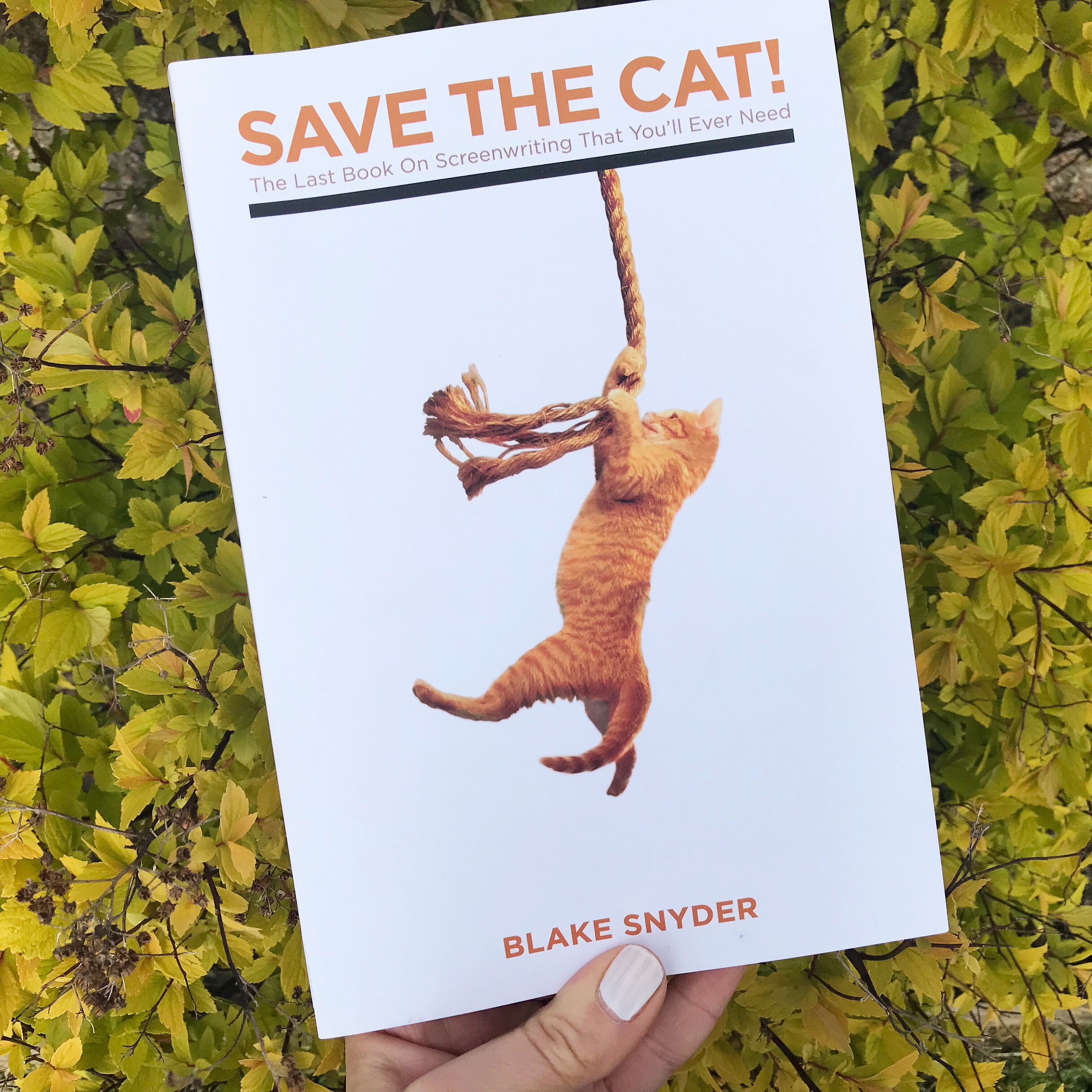Picture of 'Save the Cat' by Blake Snyder
