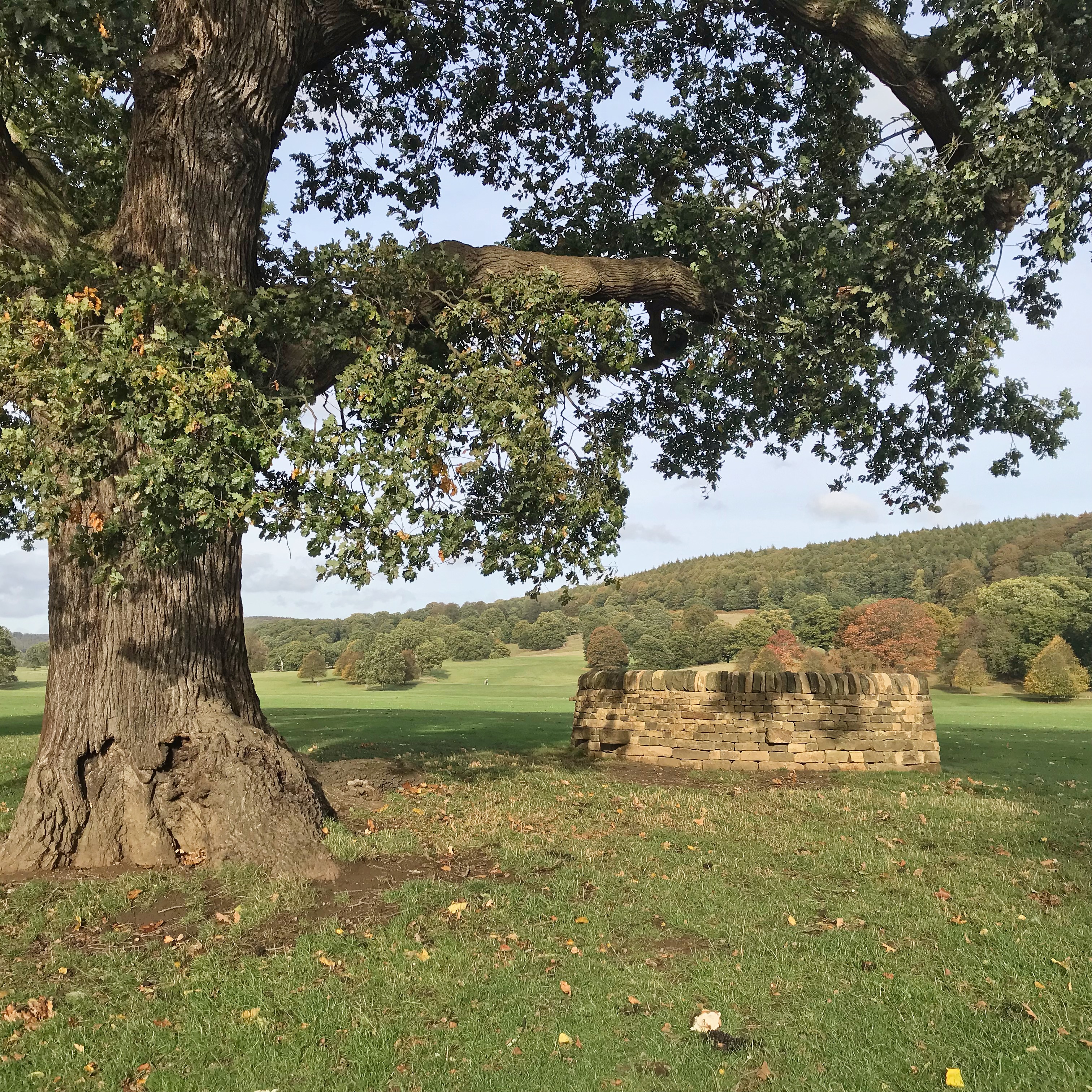 Views around Chatsworth Estate, Peak District