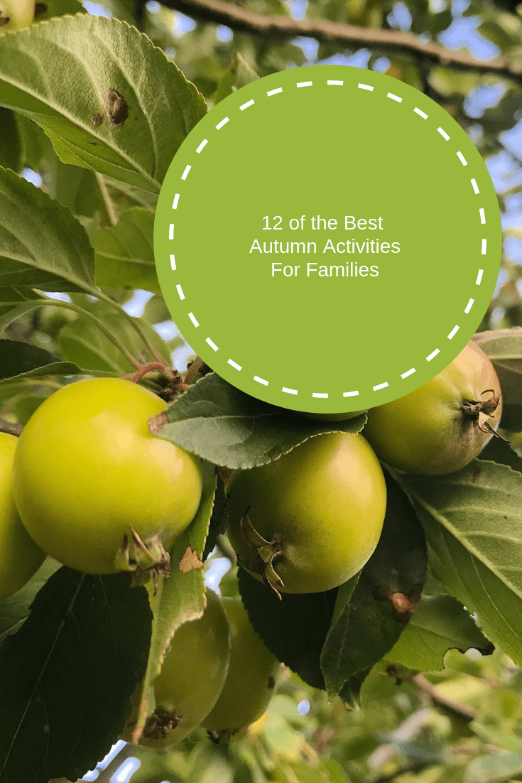 Pinterest graphic with apple tree and title '12 of the best Autumn activities for families'