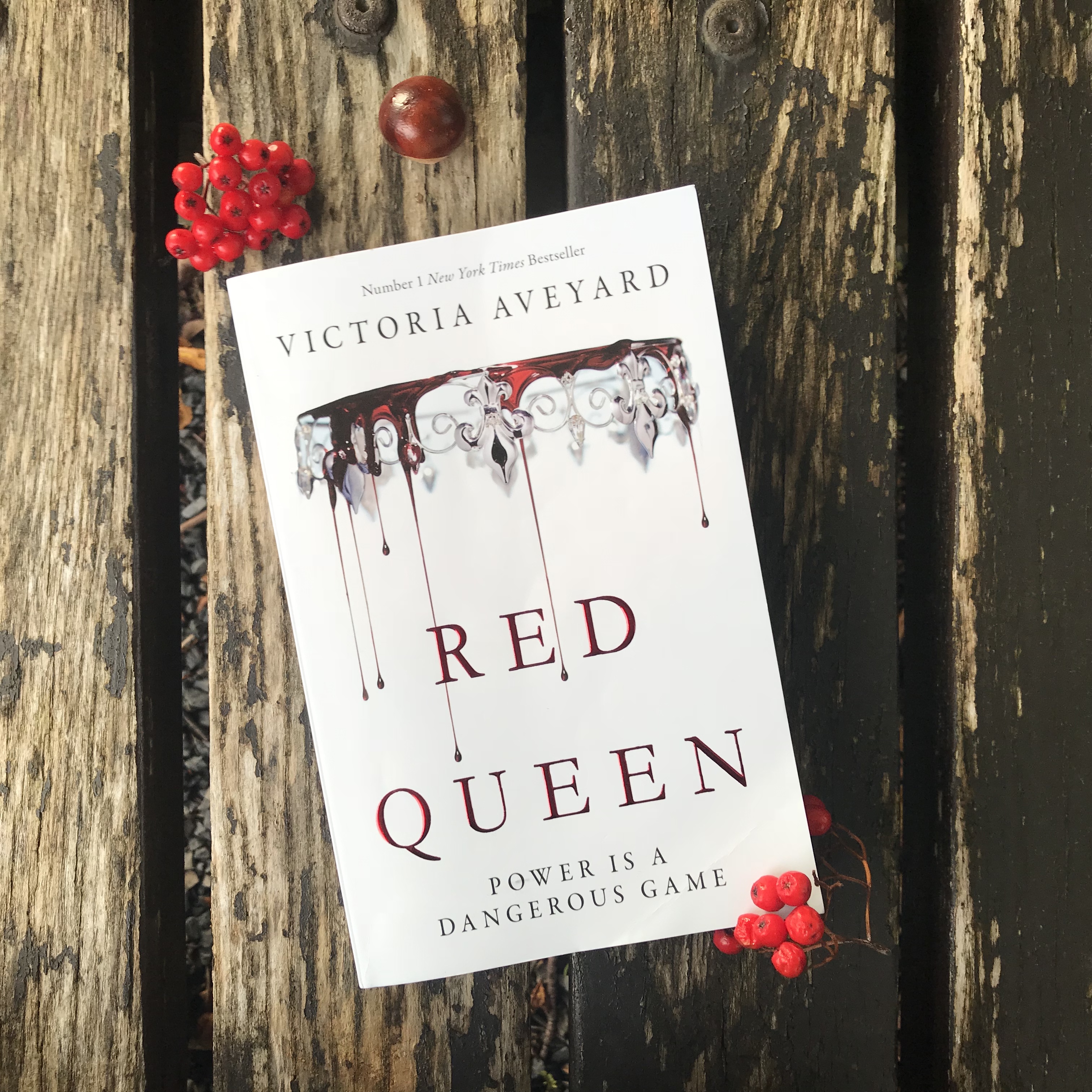 Picture of 'Red Queen' book on bench with red berries