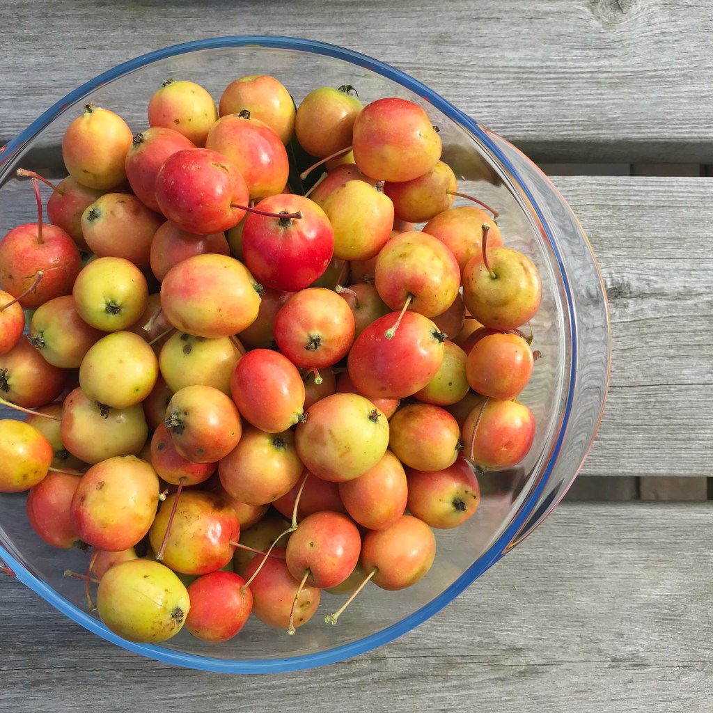 Picture of crab apples in bowl