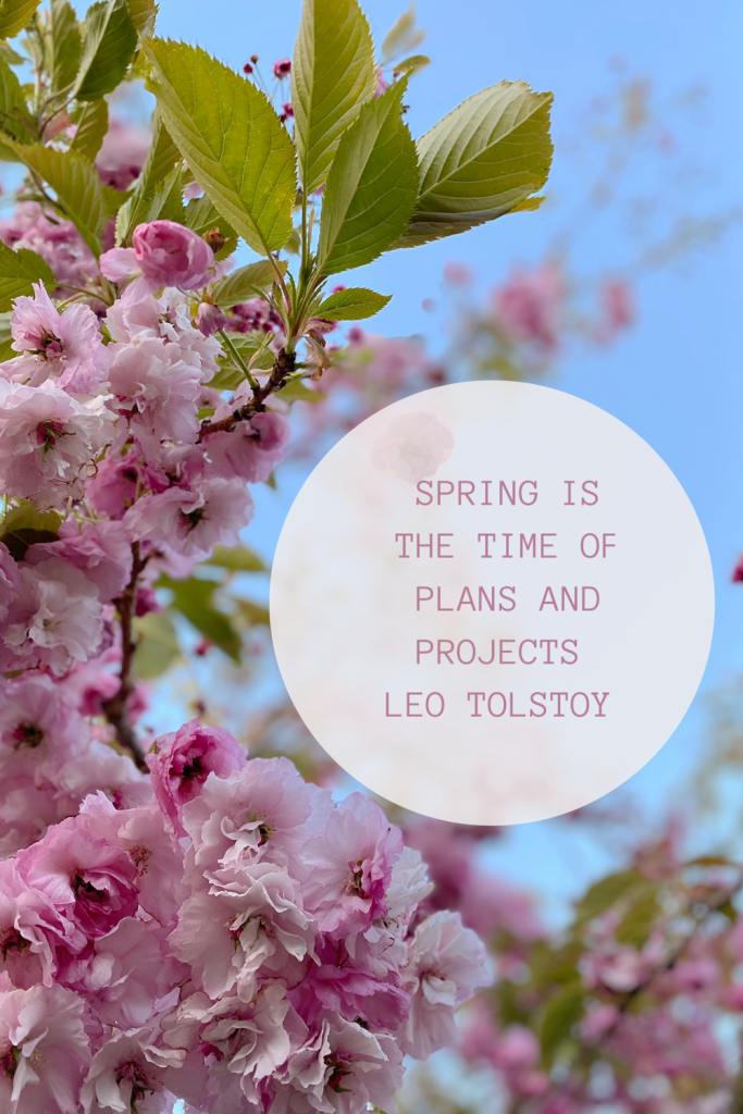Spring is the time of plans and projects graphic