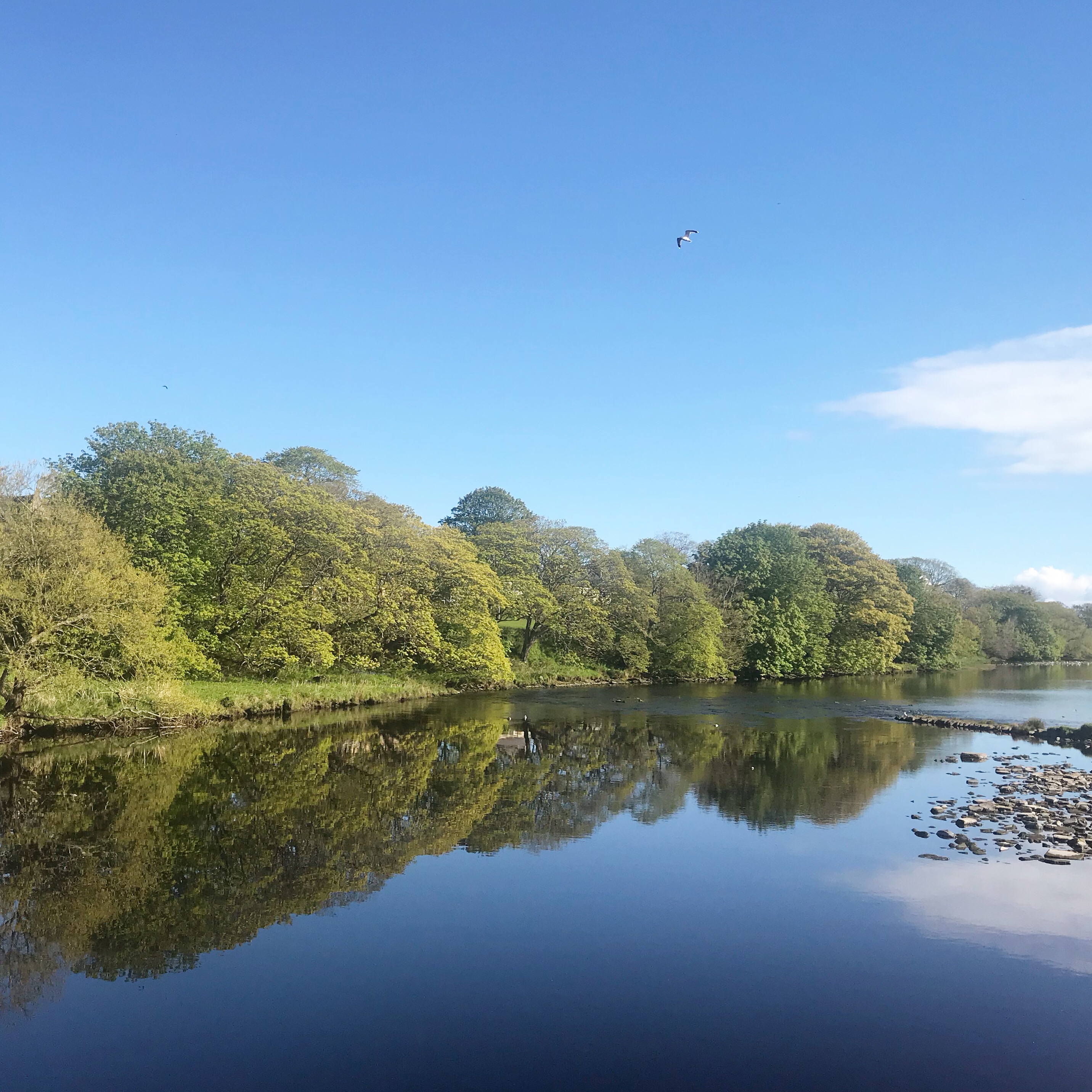Riverside scenes at Thurso Parkrun