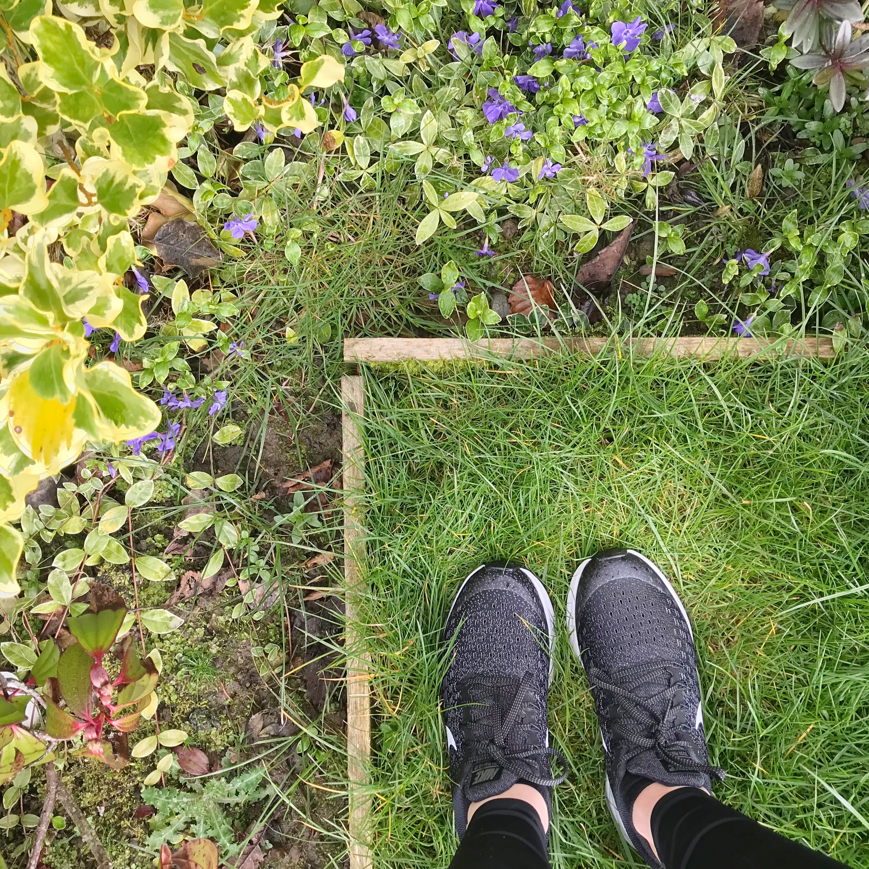Picture of feet in trainers for Parkrun