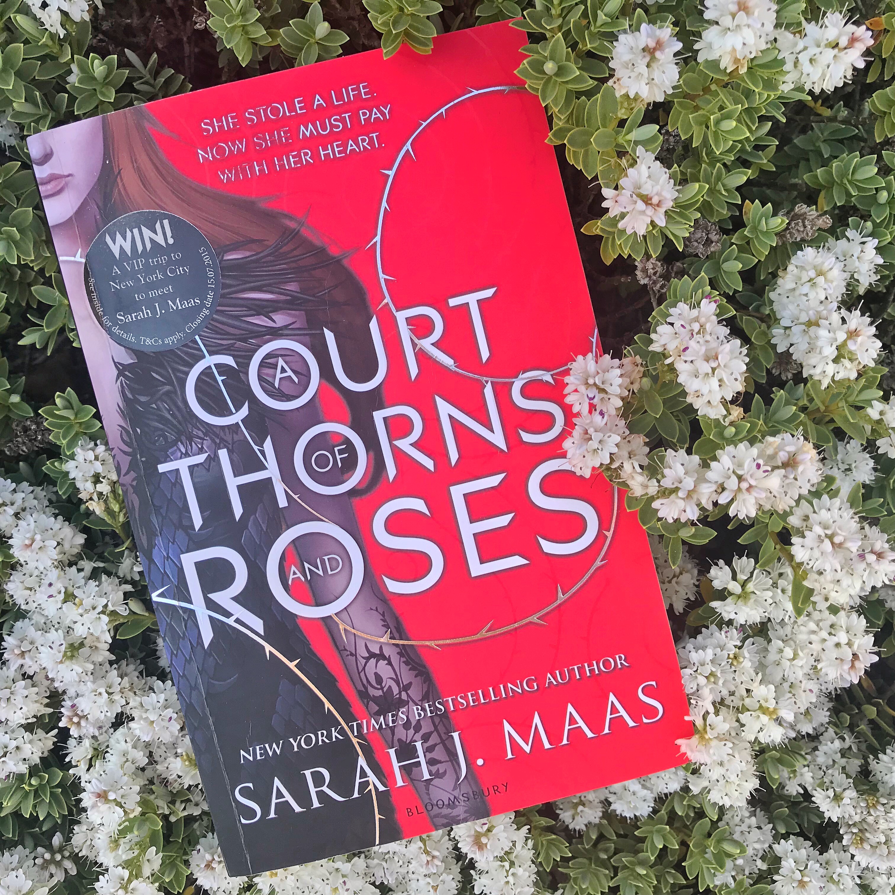 Picture of 'A Court of Thorns and Roses' by Sarah J. Mass in garden