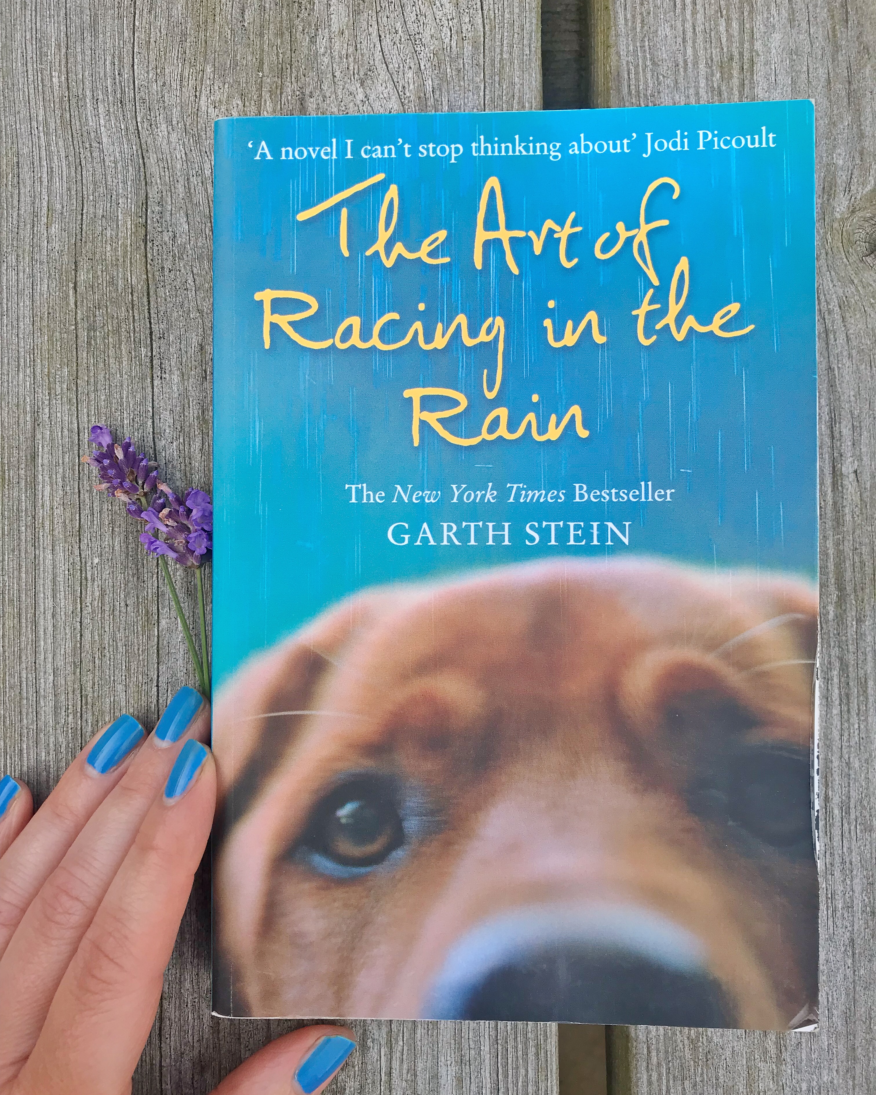 The Art of Racing in the Rain book