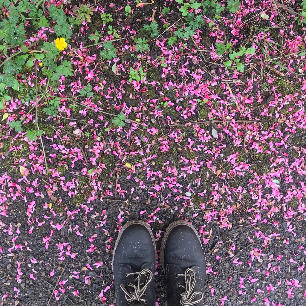 Feet in Flower Petals
