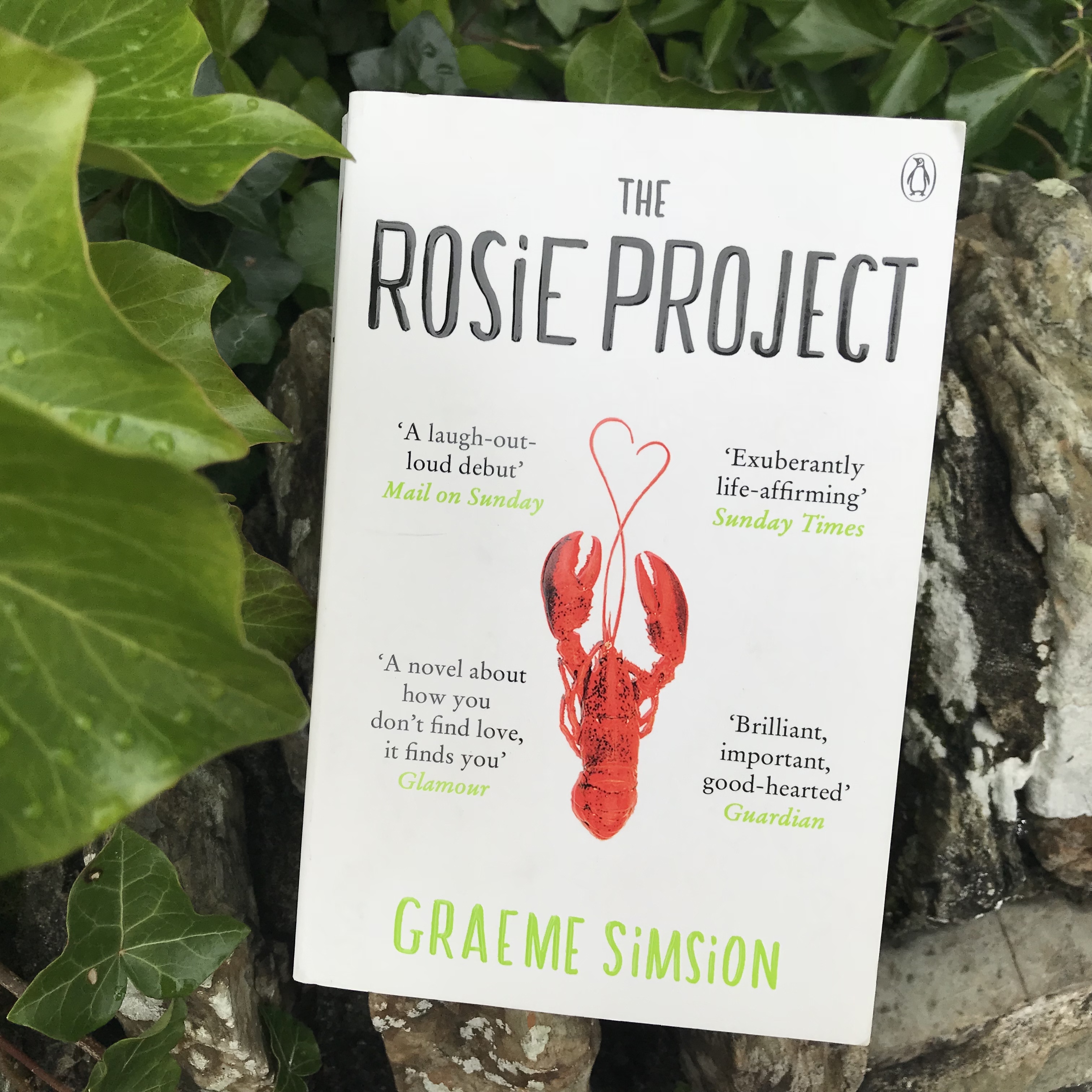 Photo of 'The Rosie Project' book against stone wall and greenery.