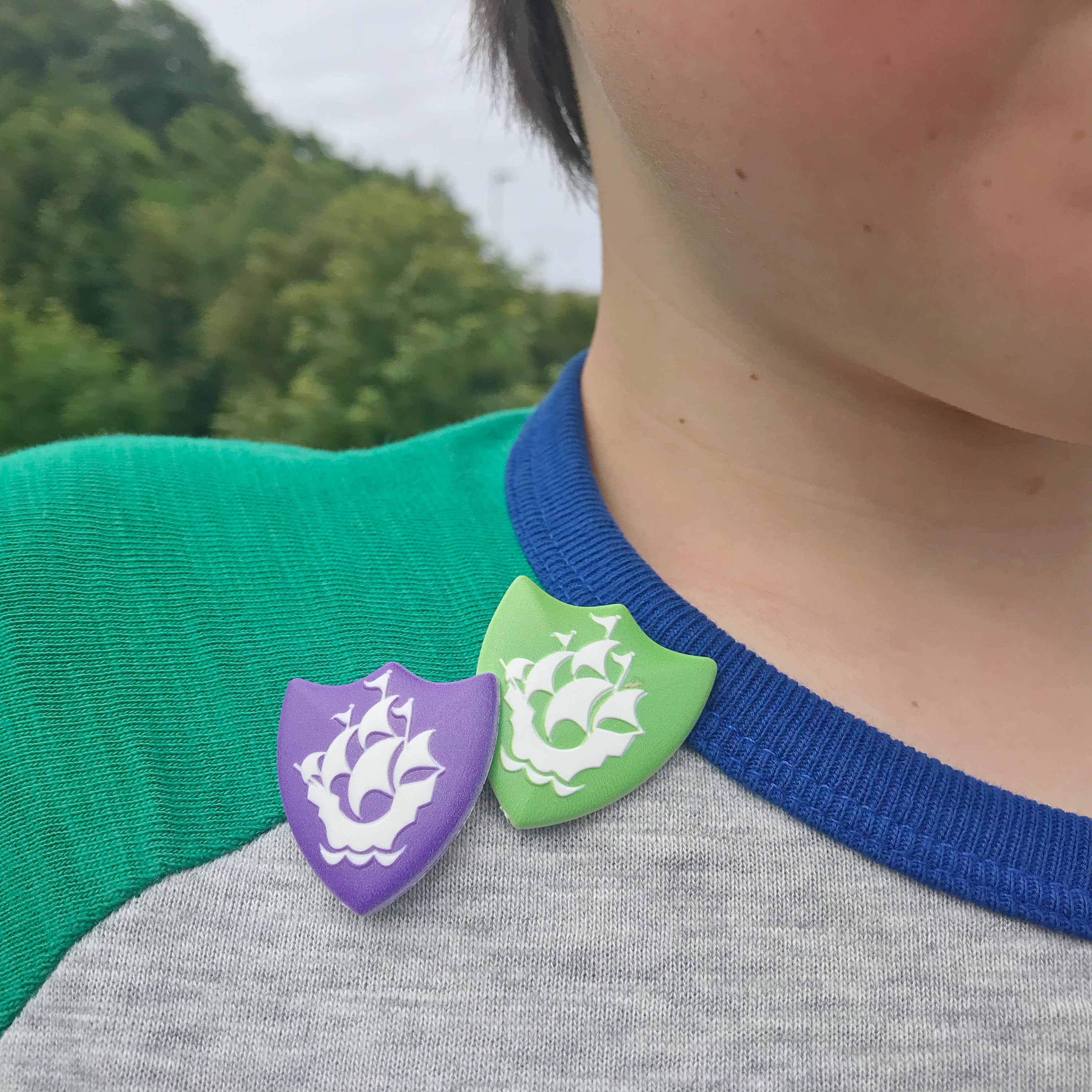 Picture of my son wearing his green and blue Blue Peter badges