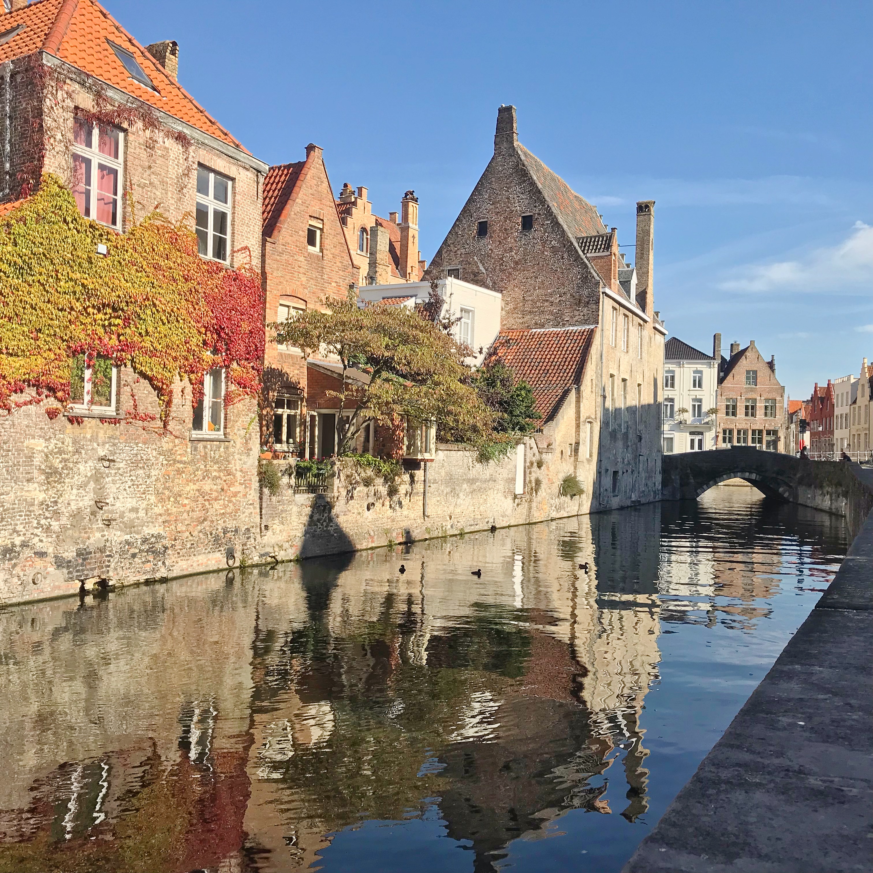 Colourful Canal Scene in Bruges