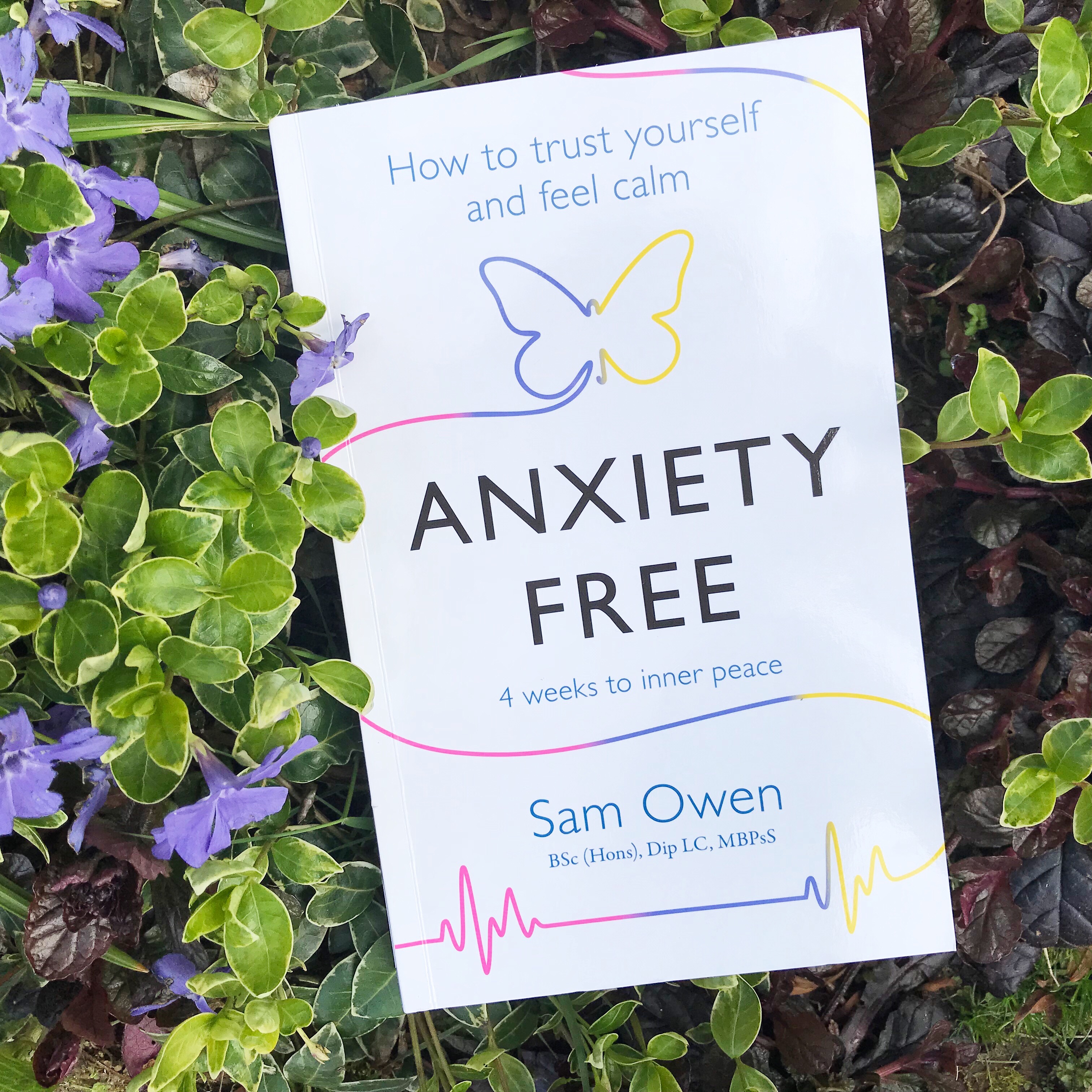 Pictiure of 'Anxiety Free' by Sam Owen