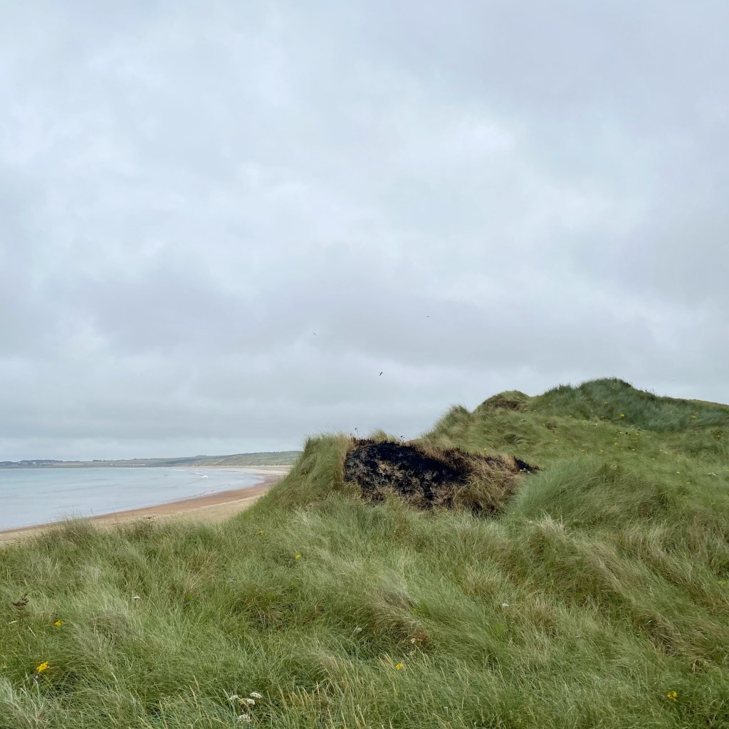 Burnt Dune, Dunnet Beach, NC500