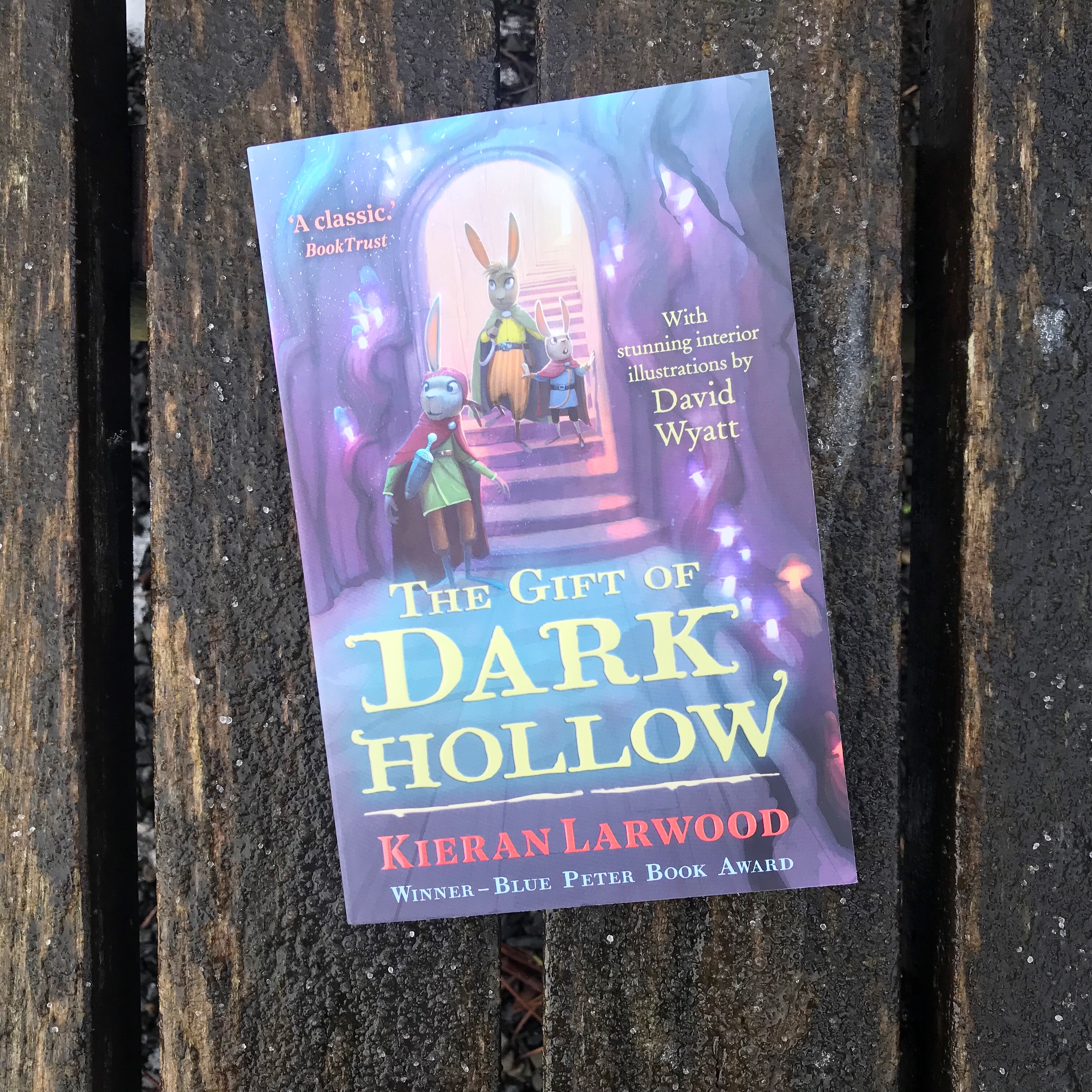 The Gift of Dark Hollow book on bench