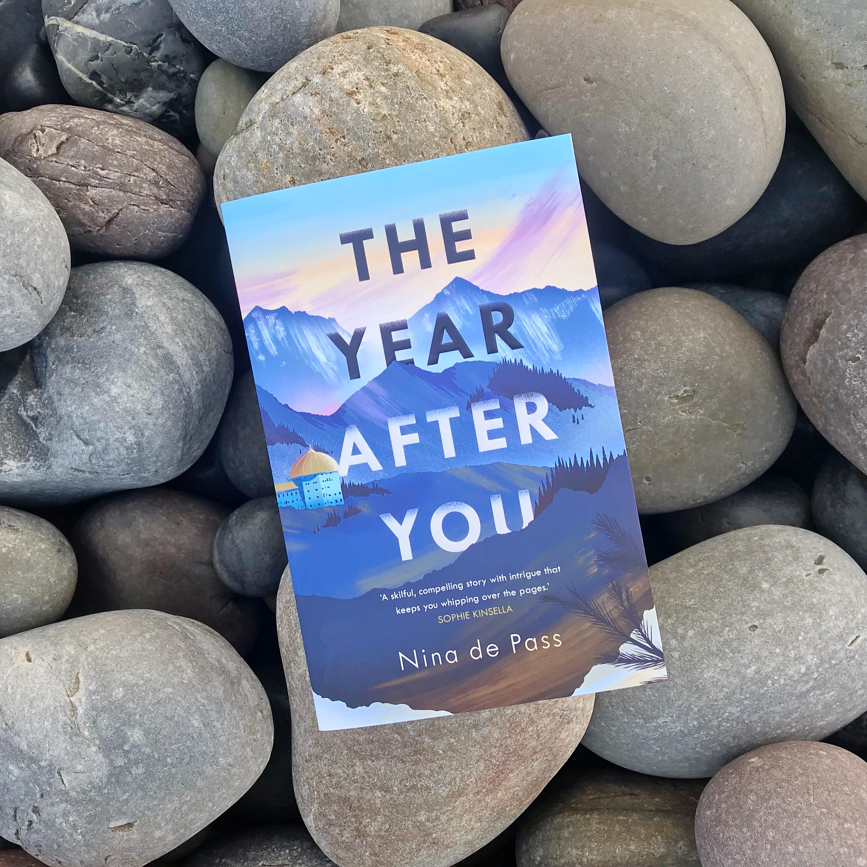 Picture of 'The Year After You' book against stones.