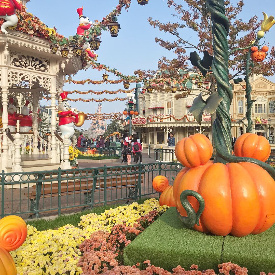 View of Pumpkins at Disneyland Paris